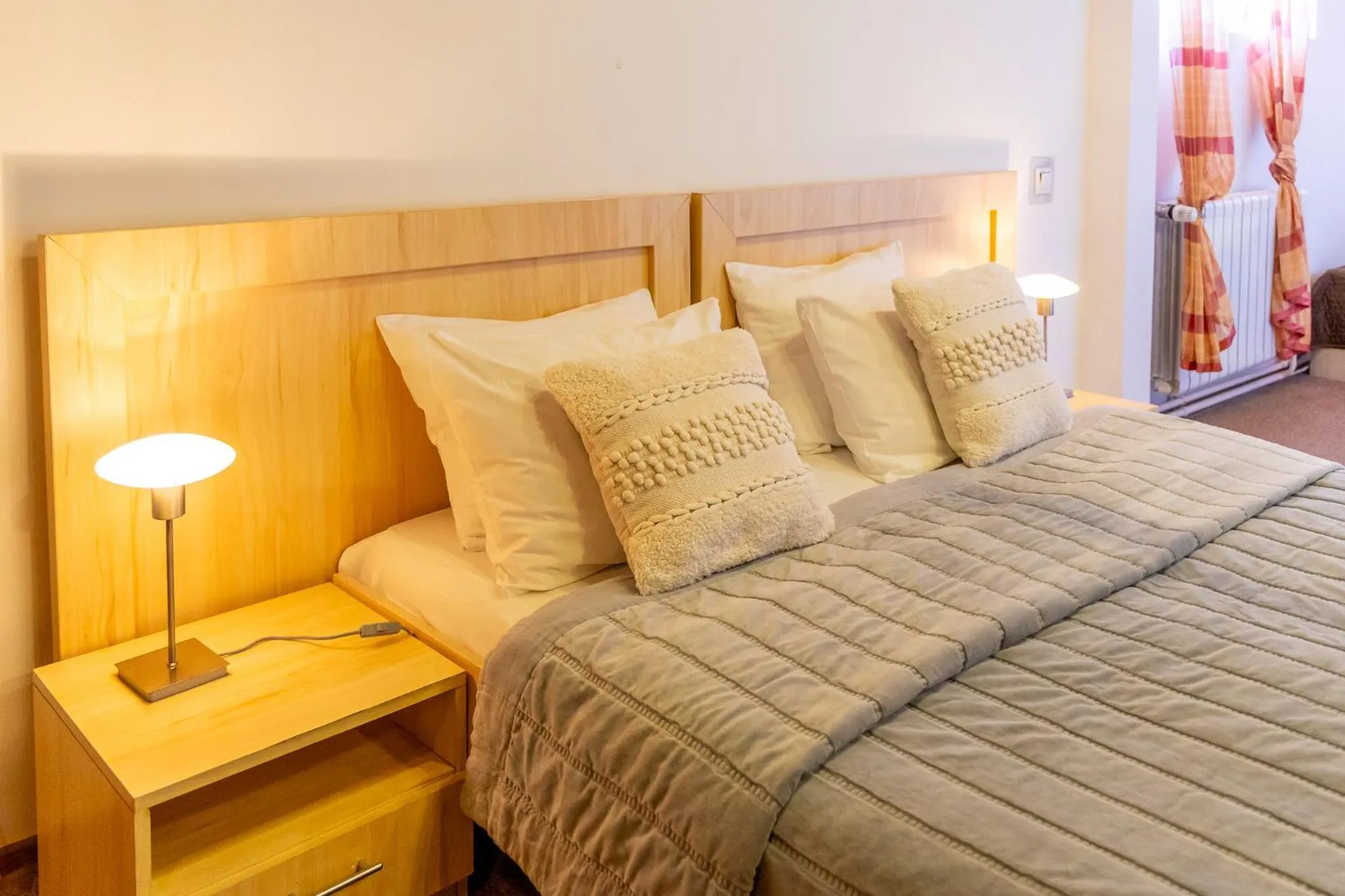 Double or Twin Room in Roberto Hotel