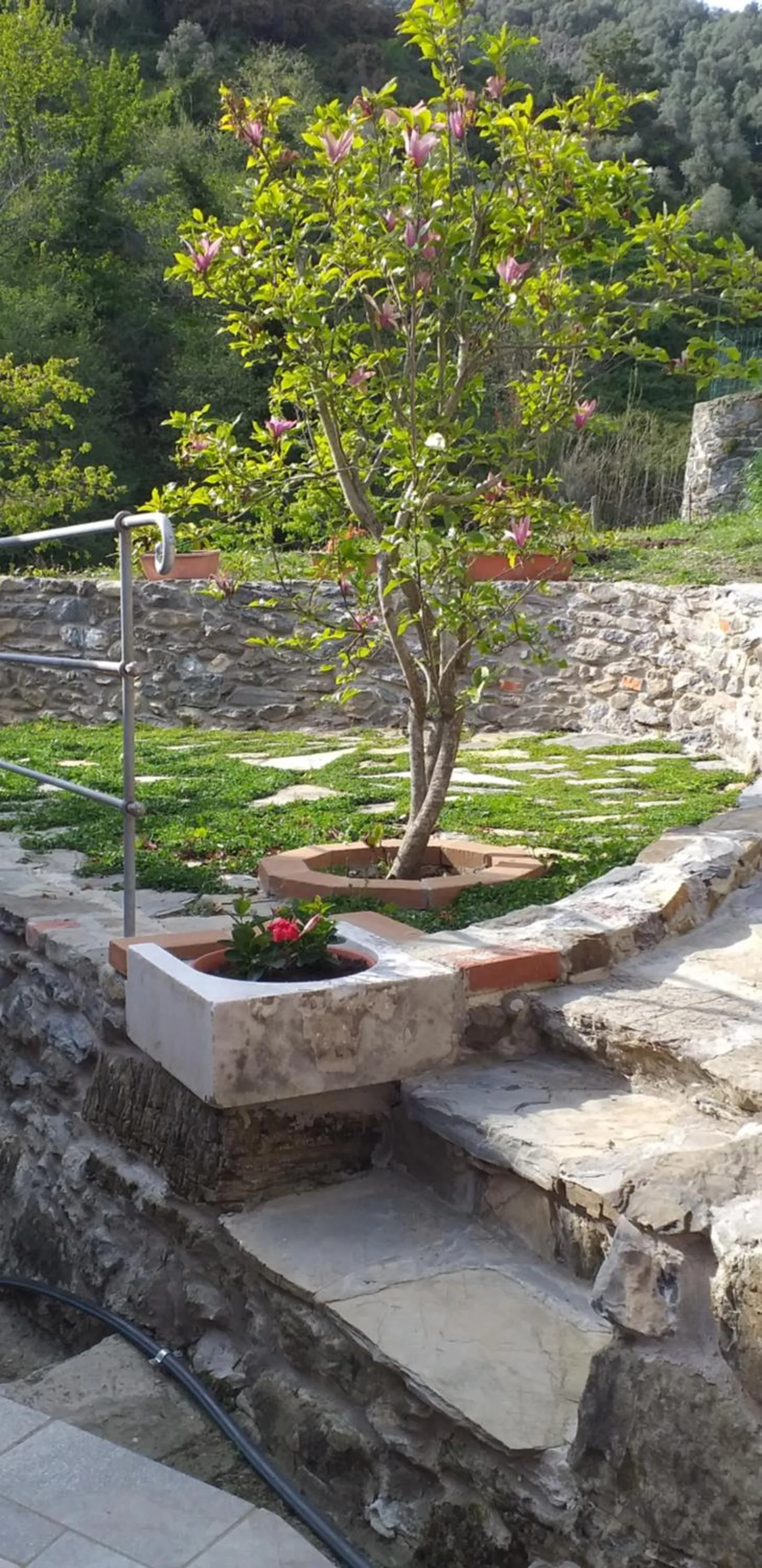 La camera del mulino