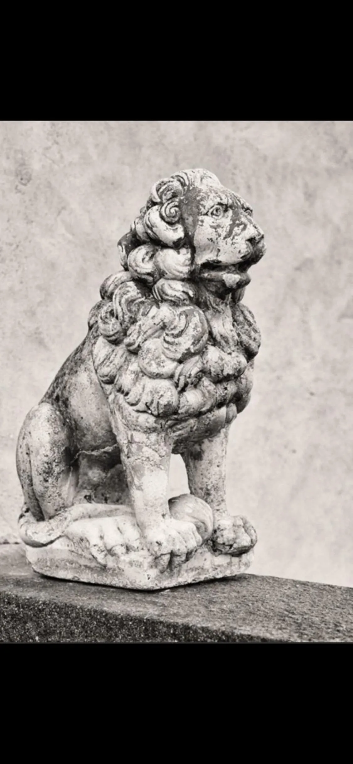 Nearby landmark in Schloss Freudenstein