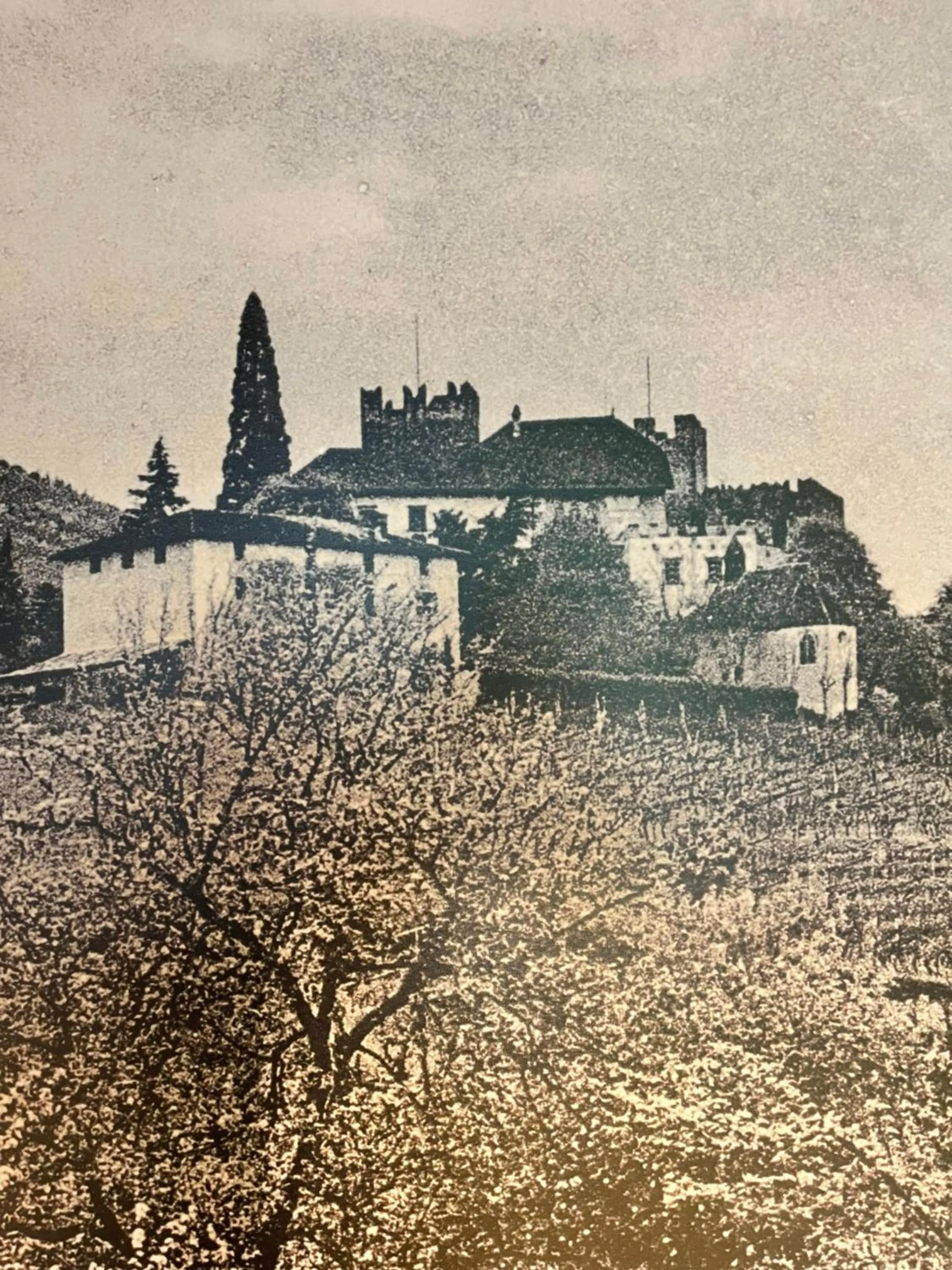 Property building in Schloss Freudenstein