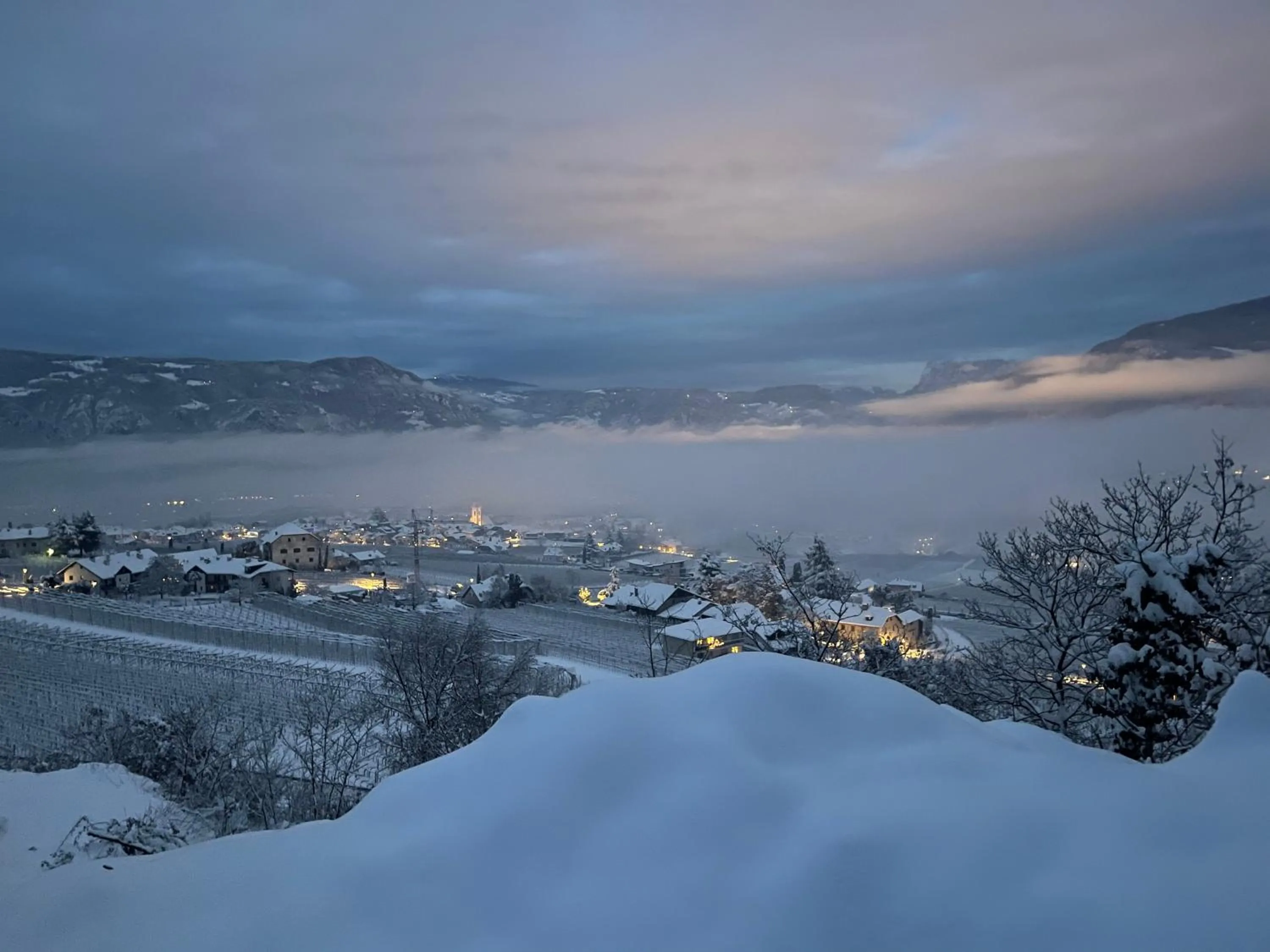 Natural landscape in Schloss Freudenstein