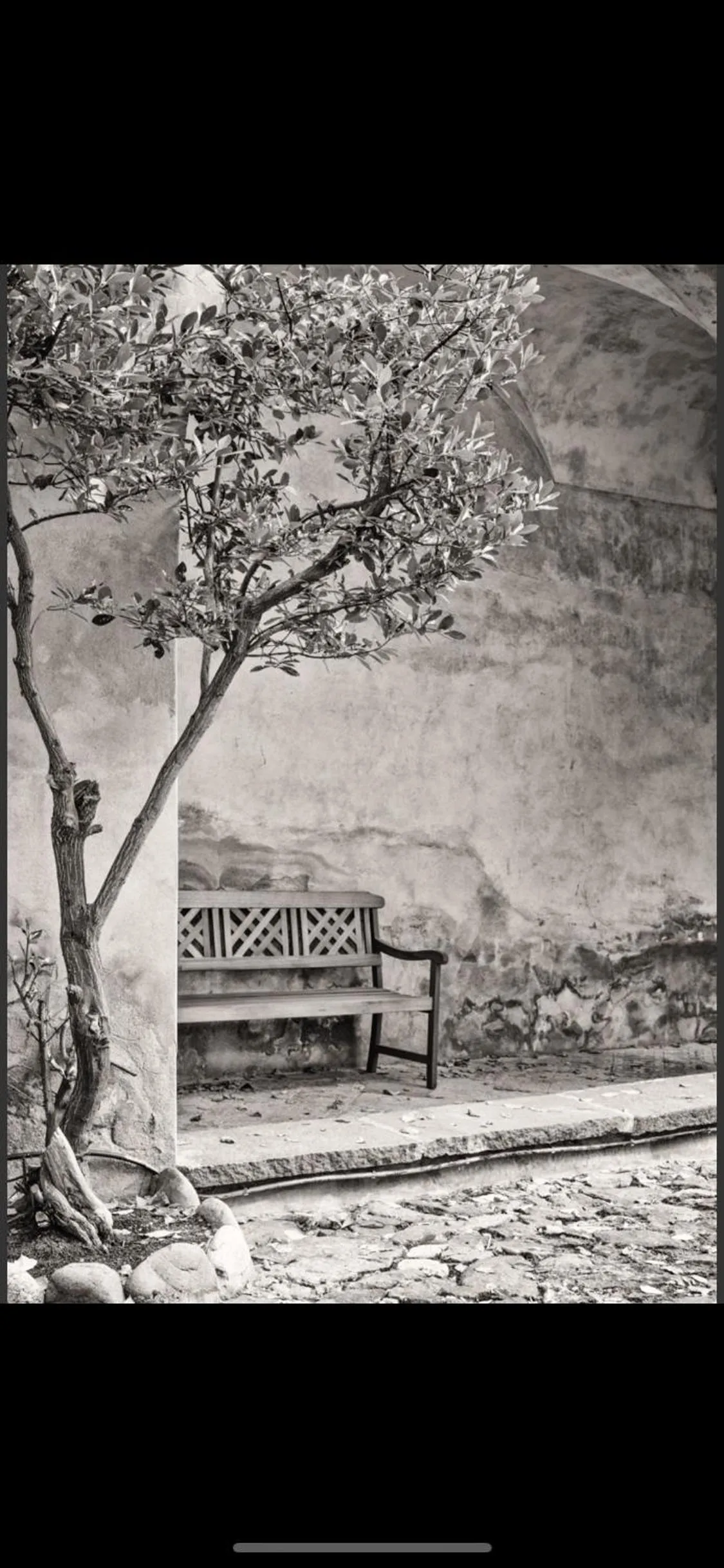 Natural landscape in Schloss Freudenstein