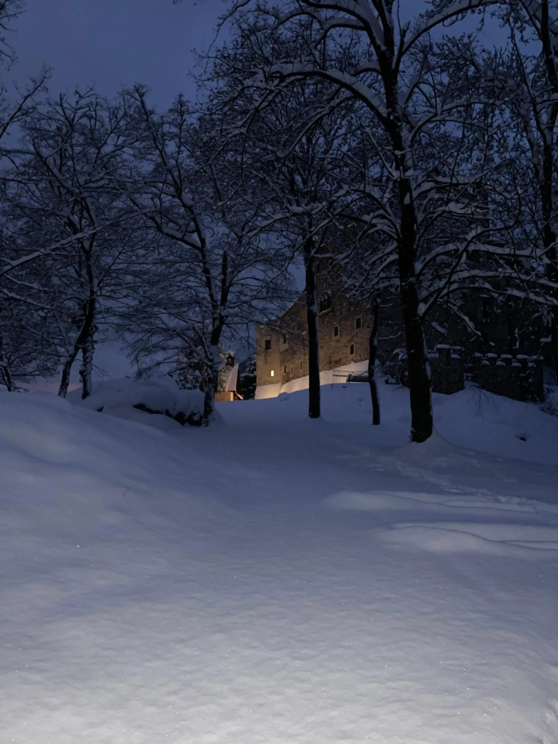 Natural landscape in Schloss Freudenstein