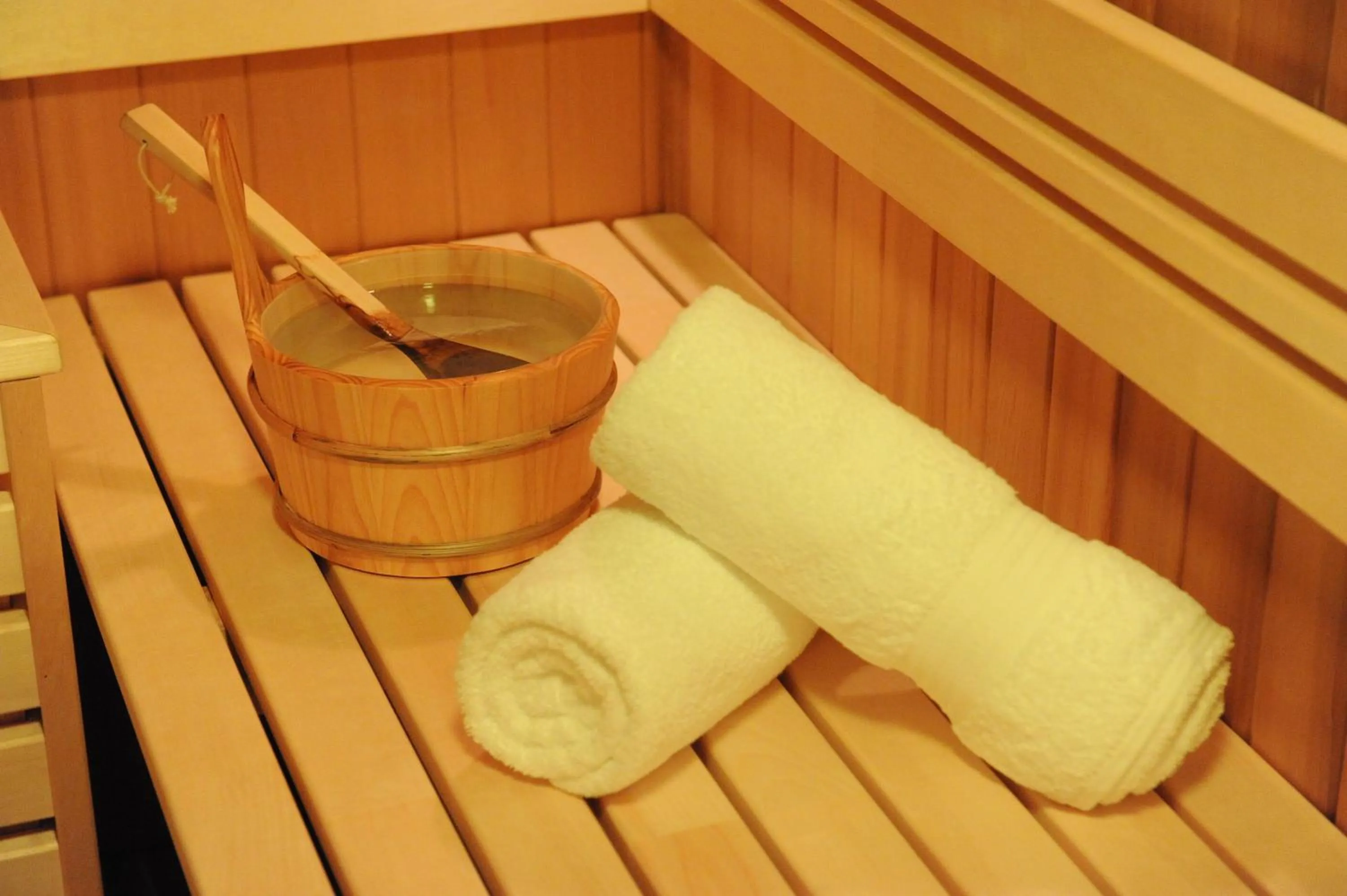 Sauna in Hotel Foisorul cu Flori
