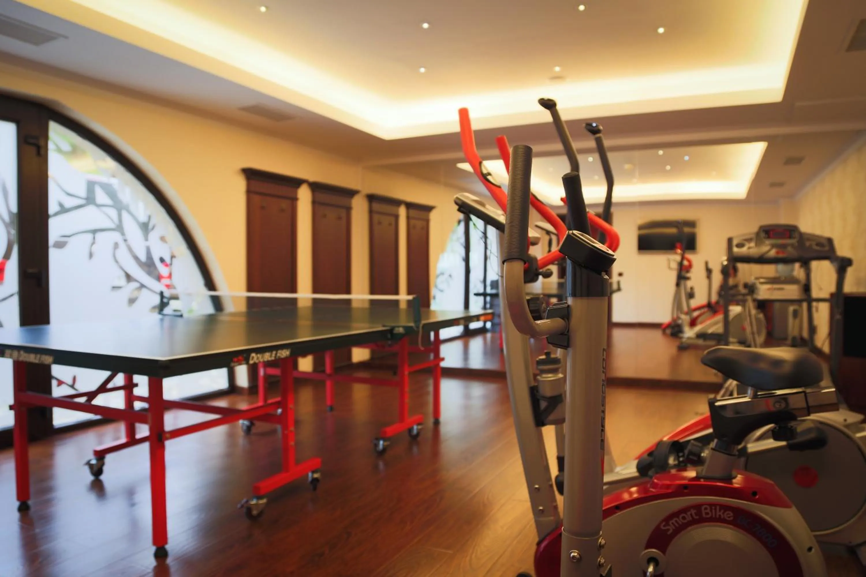 Fitness centre/facilities in Hotel Foisorul cu Flori