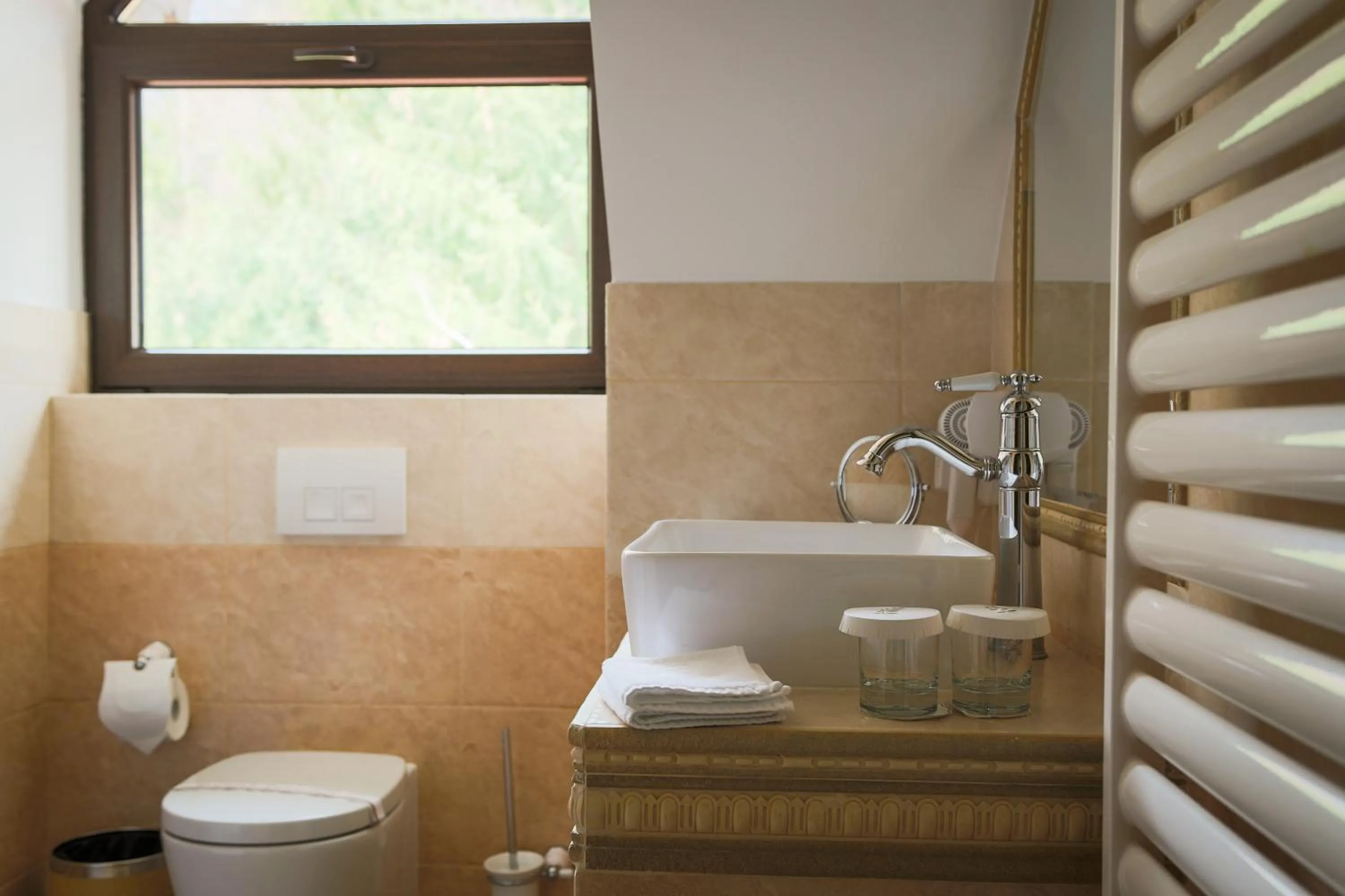 Bathroom in Hotel Foisorul cu Flori