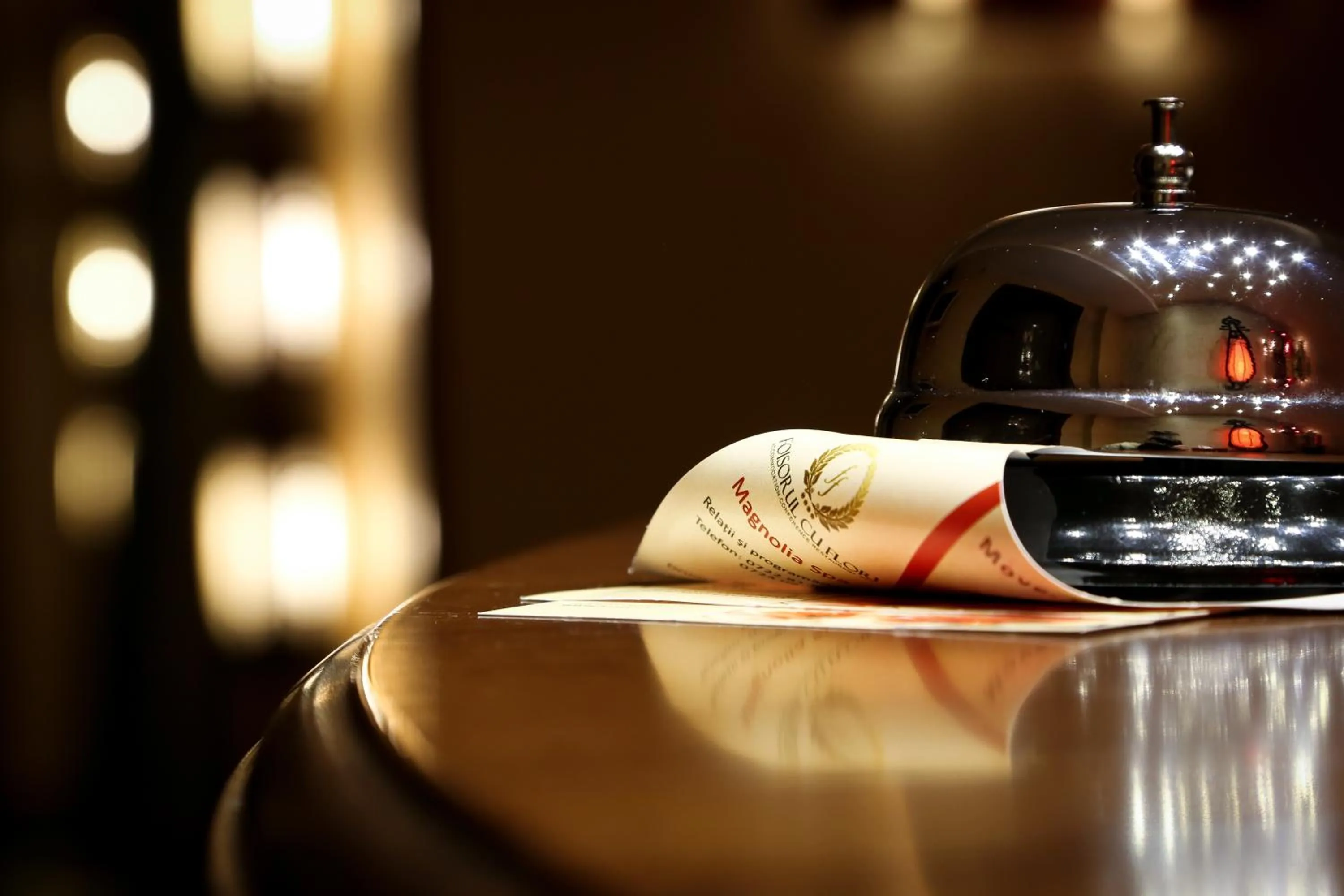 Lobby or reception in Hotel Foisorul cu Flori