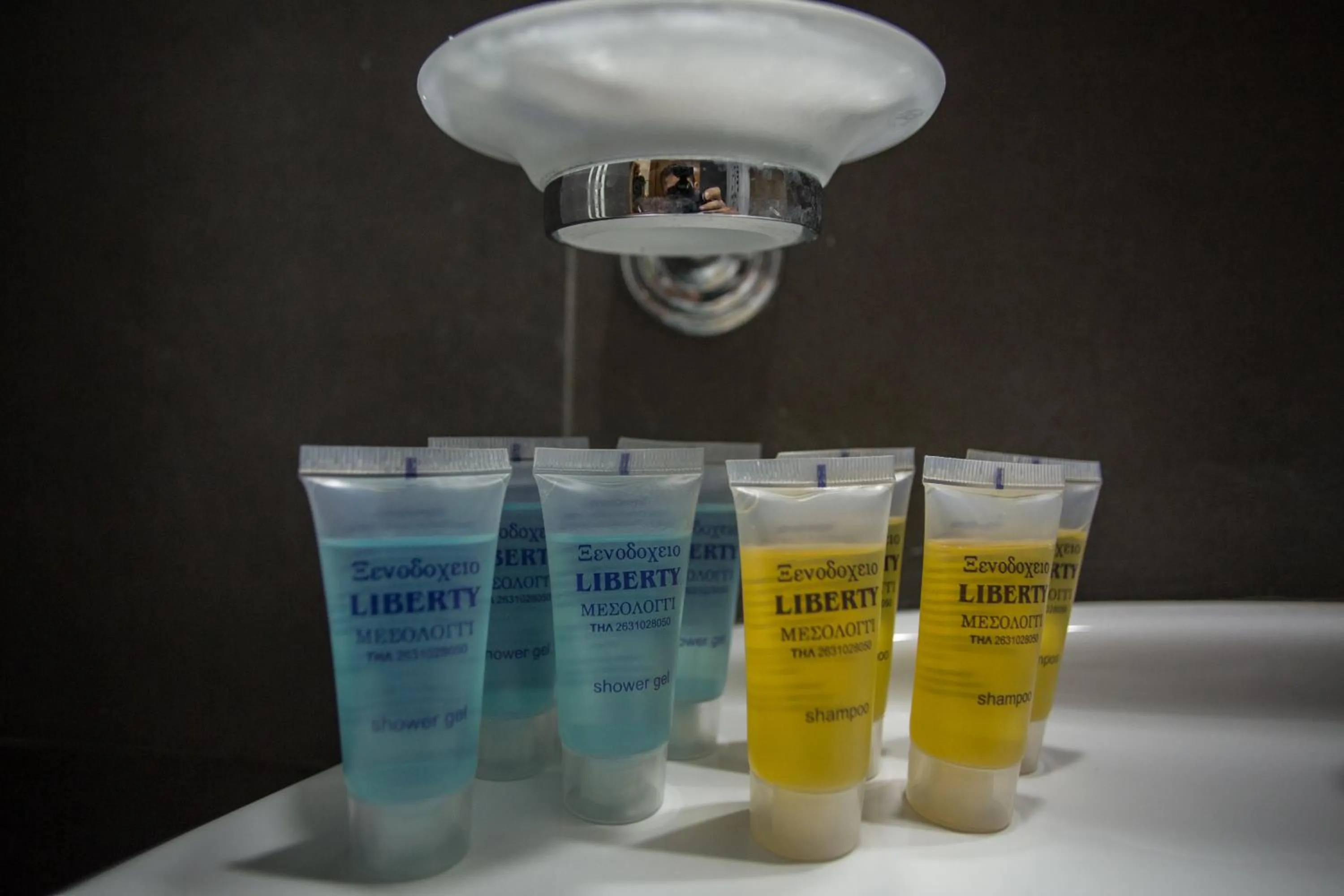 Area and facilities in Hotel Liberty