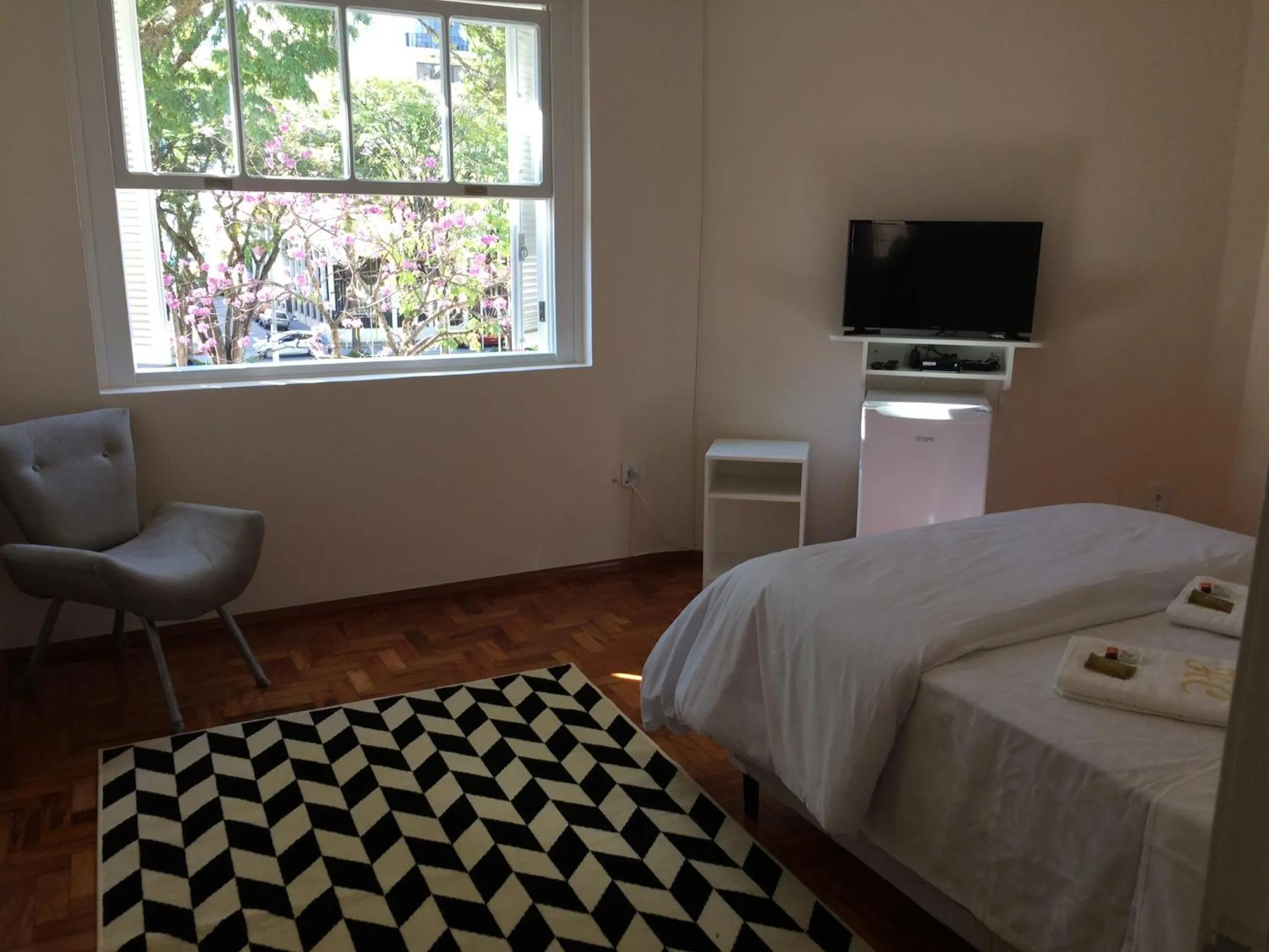 Hotel Centenario Itajuba