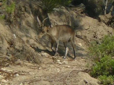 Activities in Casa del Renacimiento