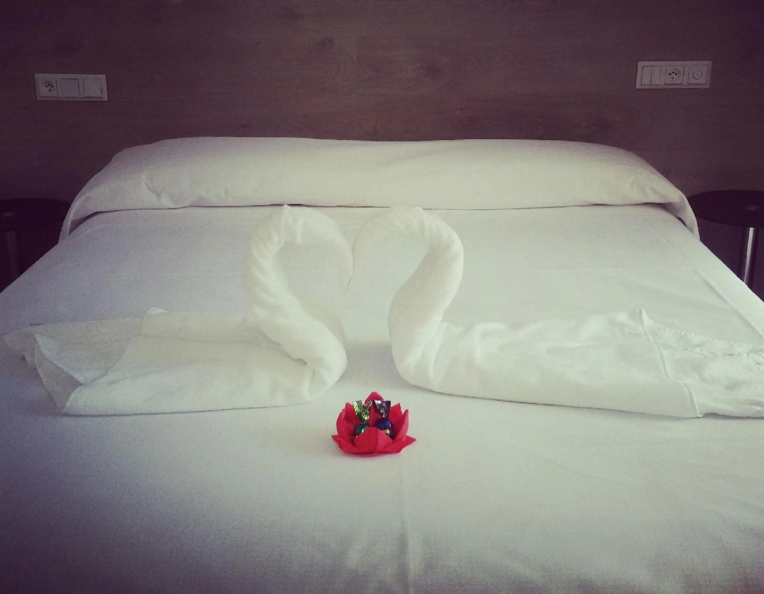 Bed in Hotel Delicias
