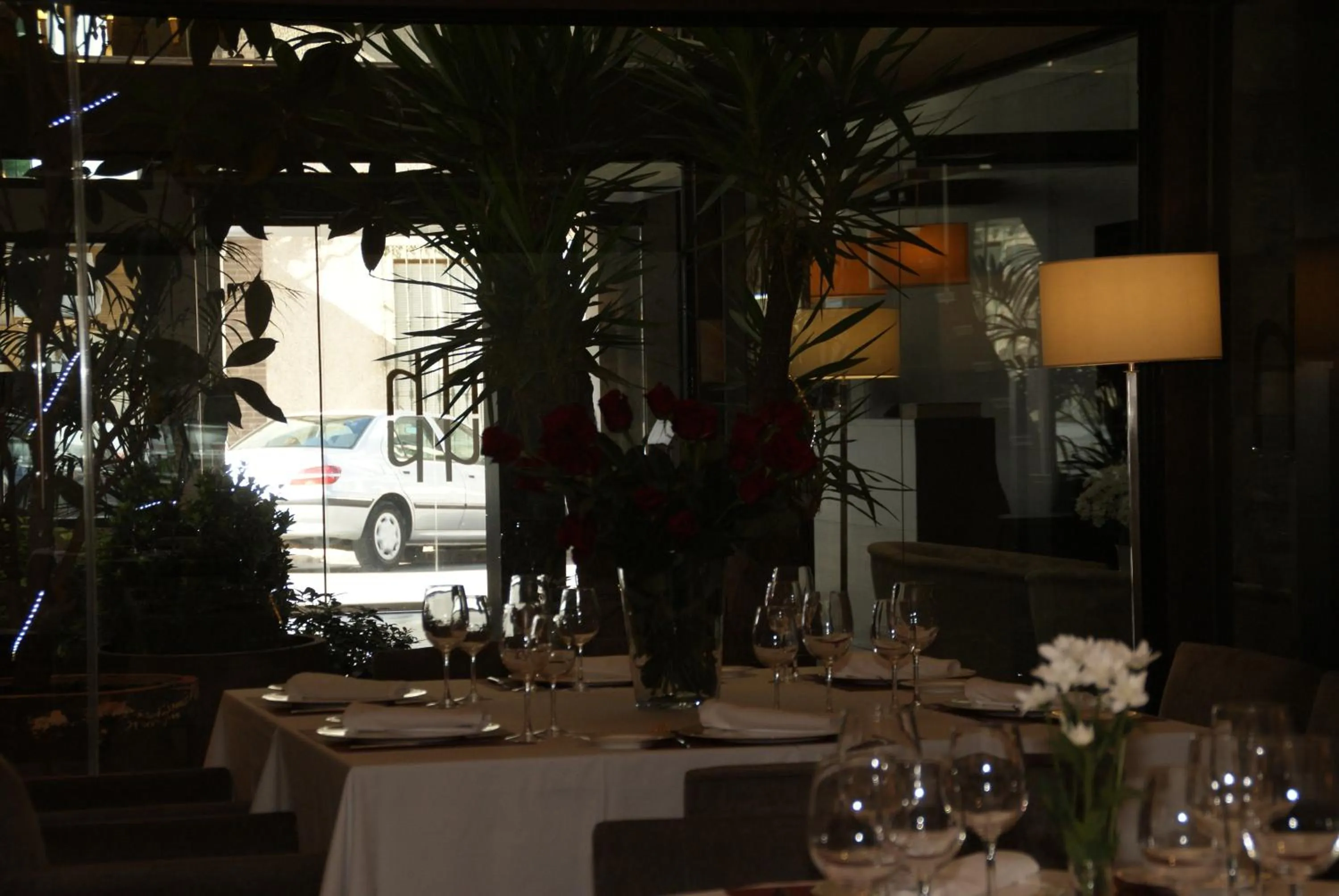 Restaurant/places to eat in Hotel Paloma