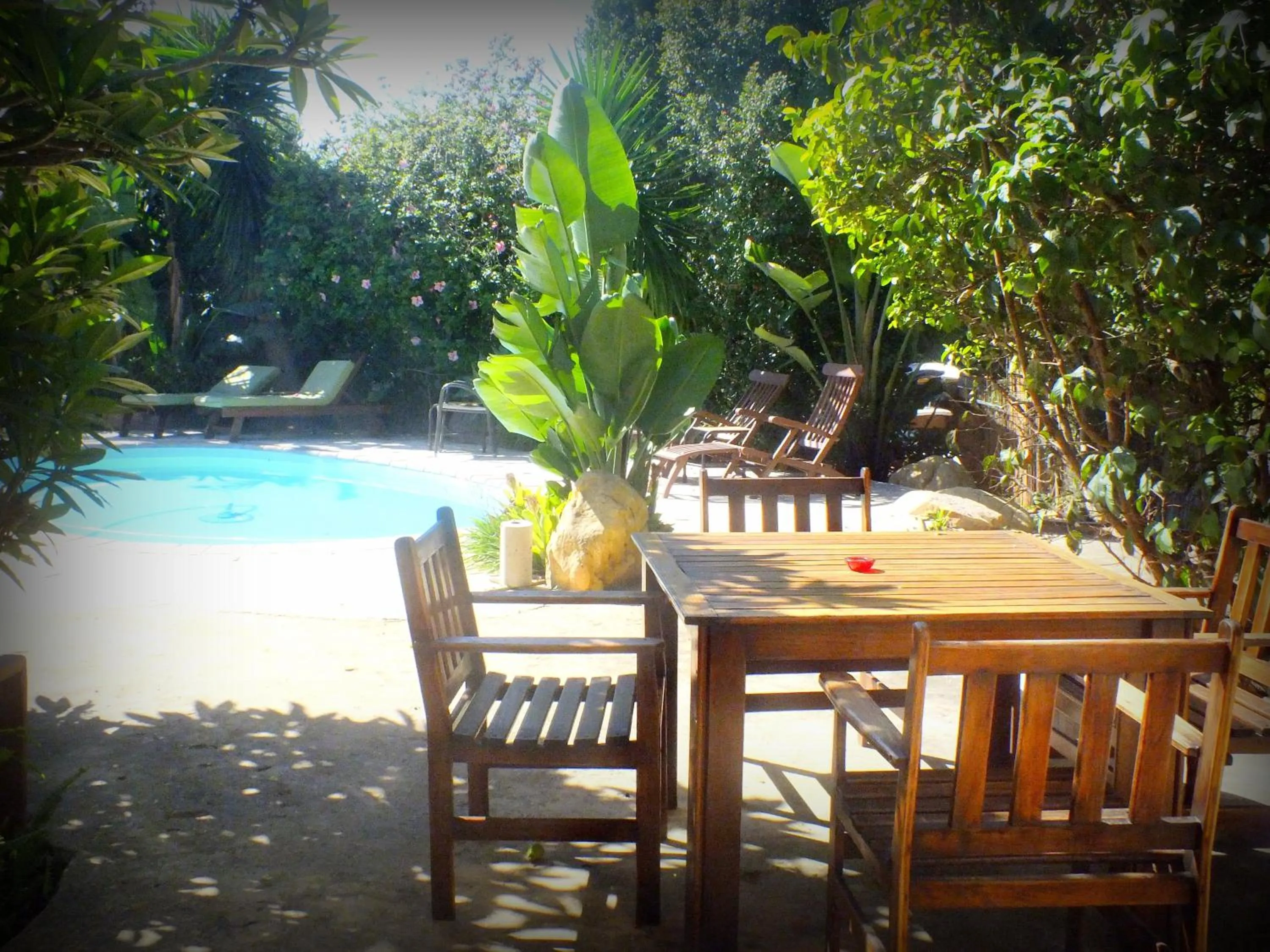 Garden in A Whale of a View Bed & Breakfast