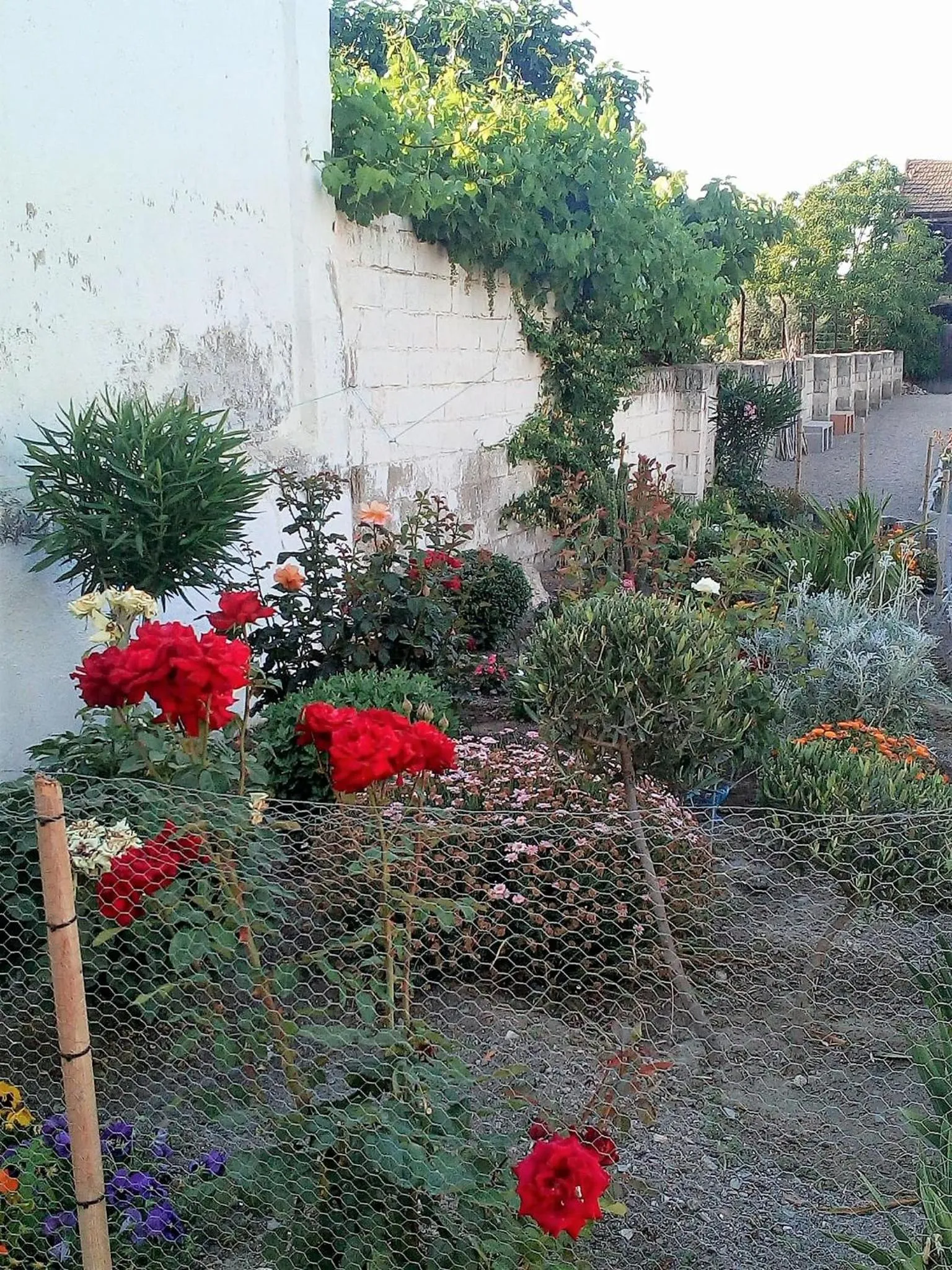 Garden in Casa de Mar y Kanela 17 km Granada
