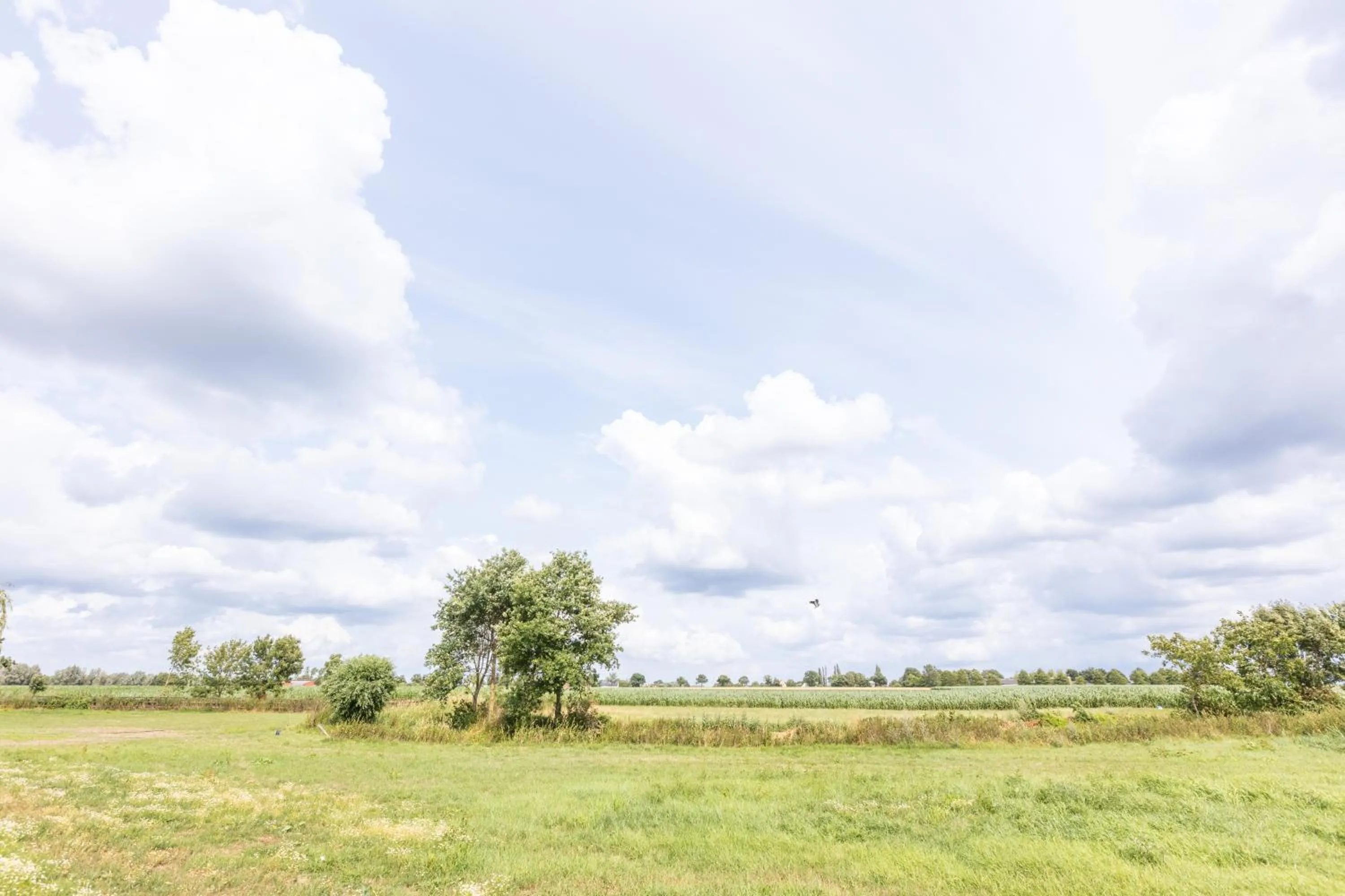 Day in B&B Het Eycken Huys