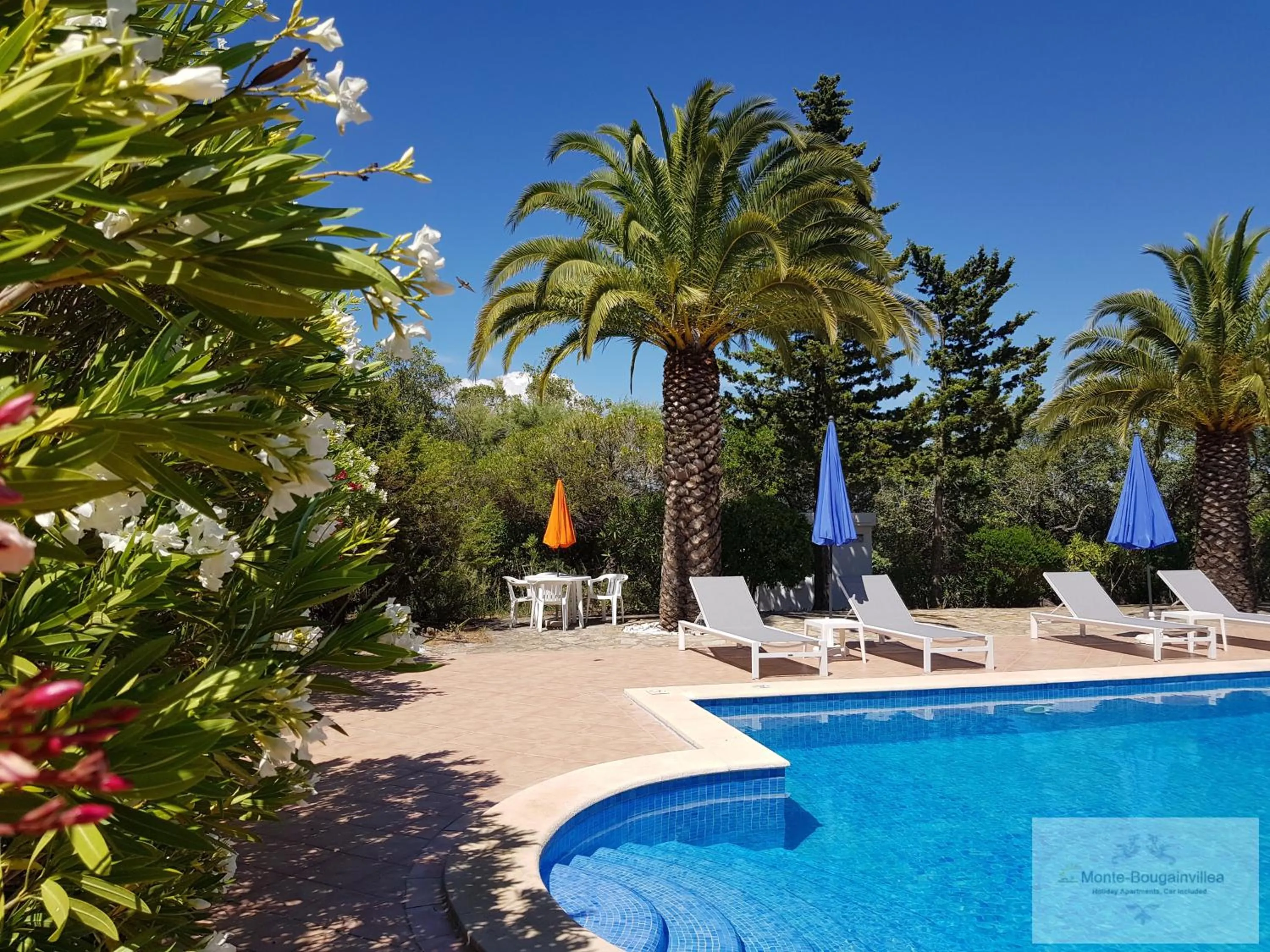 Monte-Bougainvillea