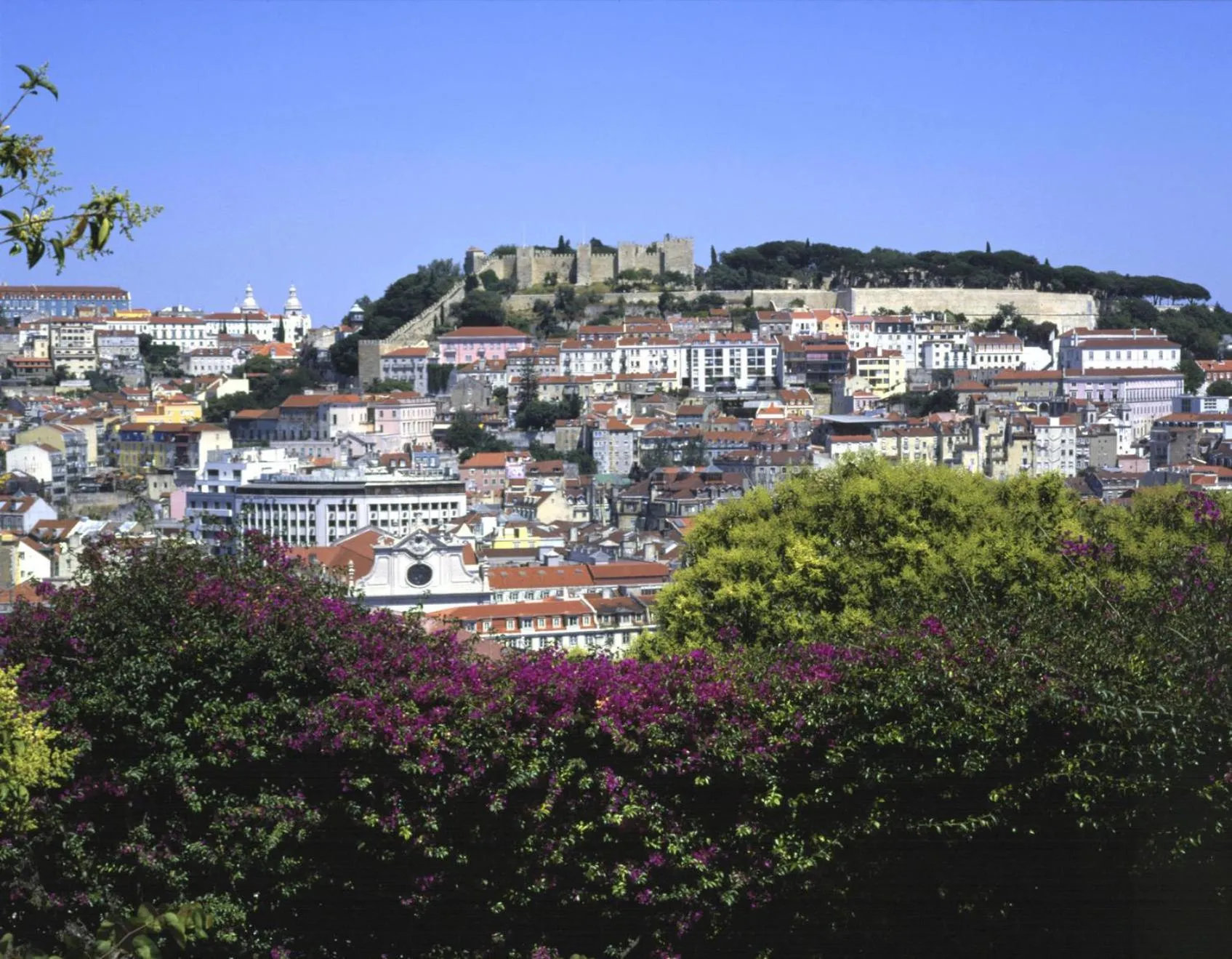 Area and facilities in Parque de Campismo Orbitur Costa de Caparica
