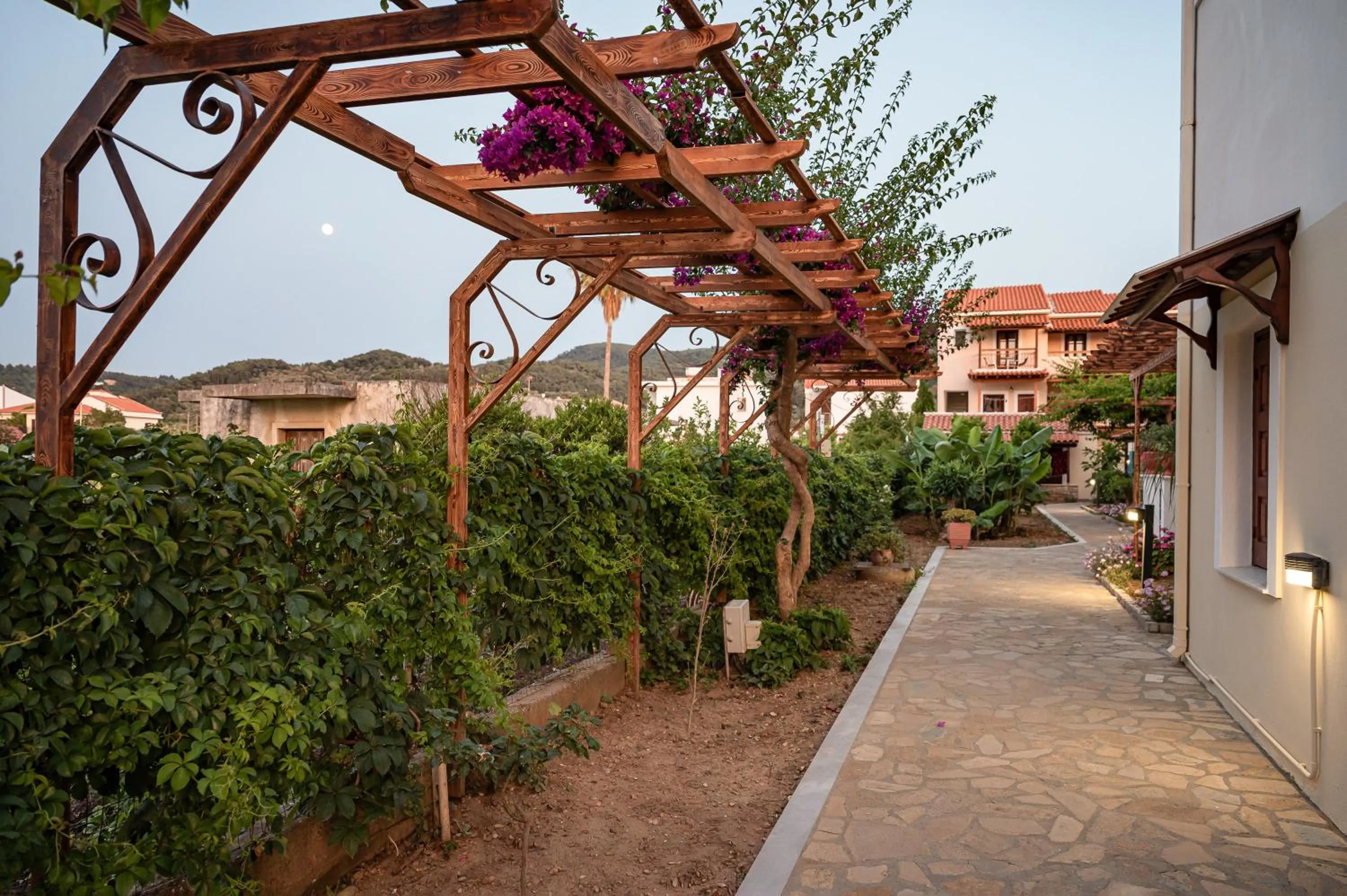 Garden in Hotel Athena