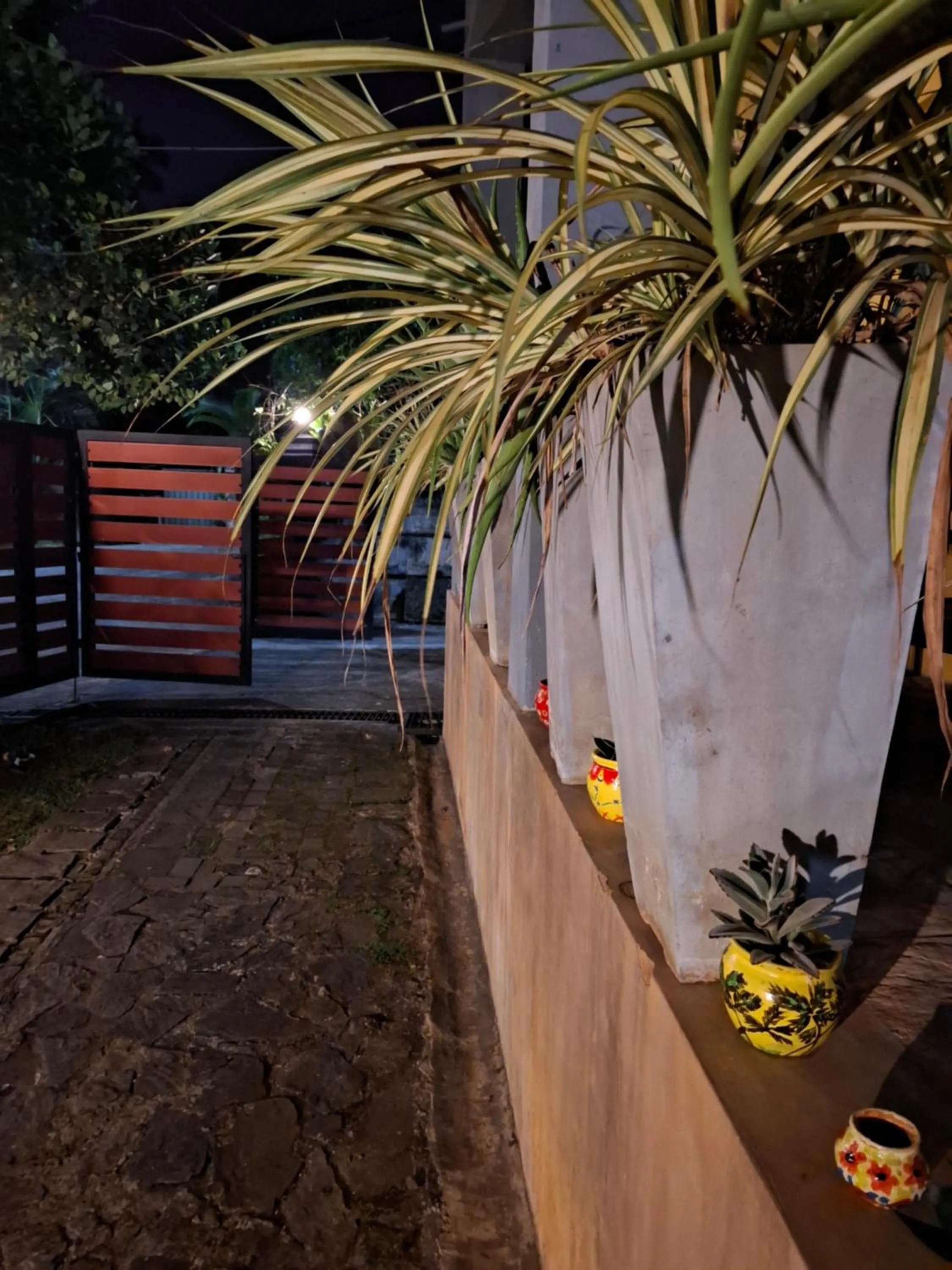 Night in Blue Pillars Kandy