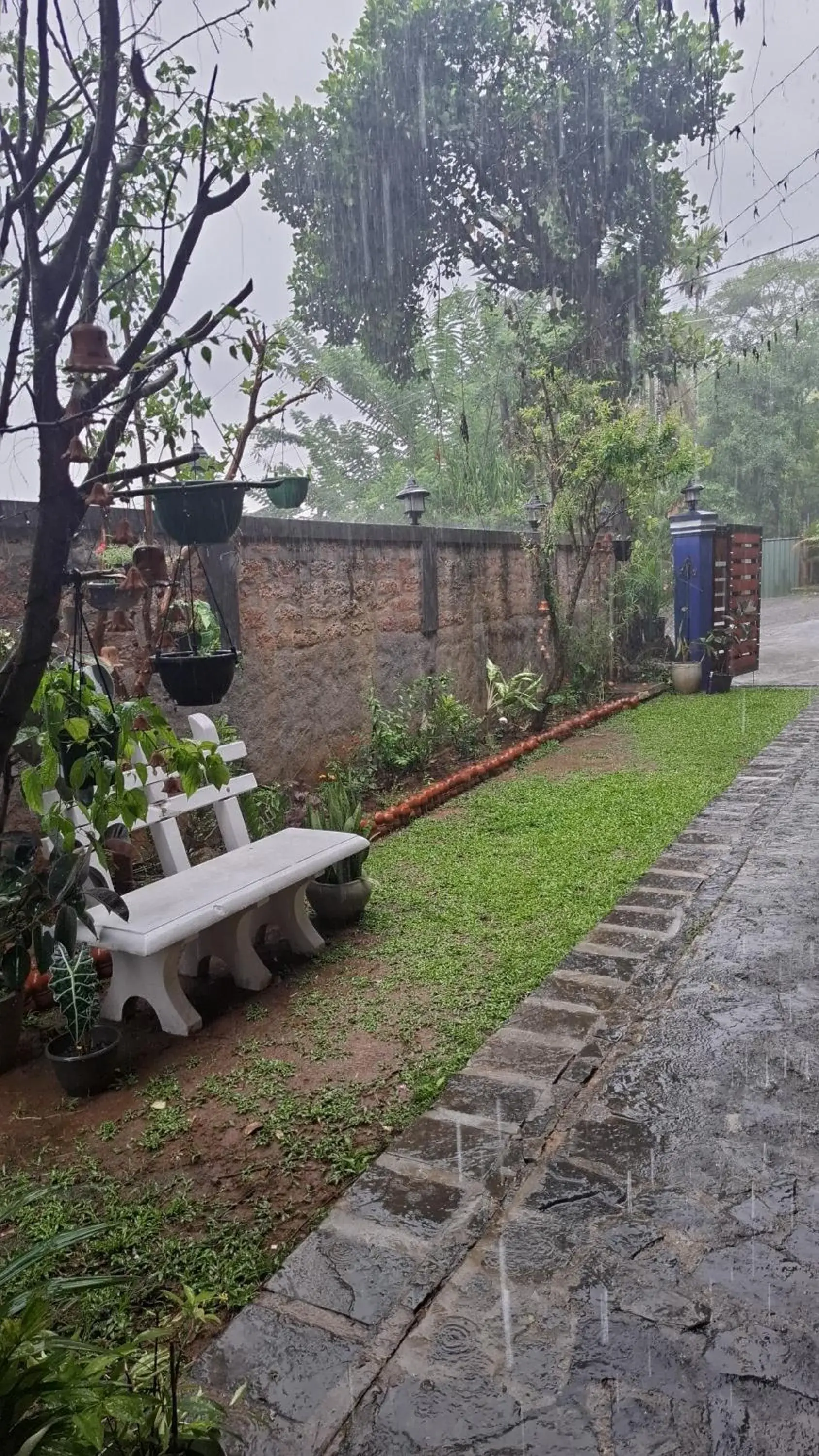Deluxe Twin Room in Blue Pillars Kandy Deluxe Twin Room in Blue Pillars Kandy