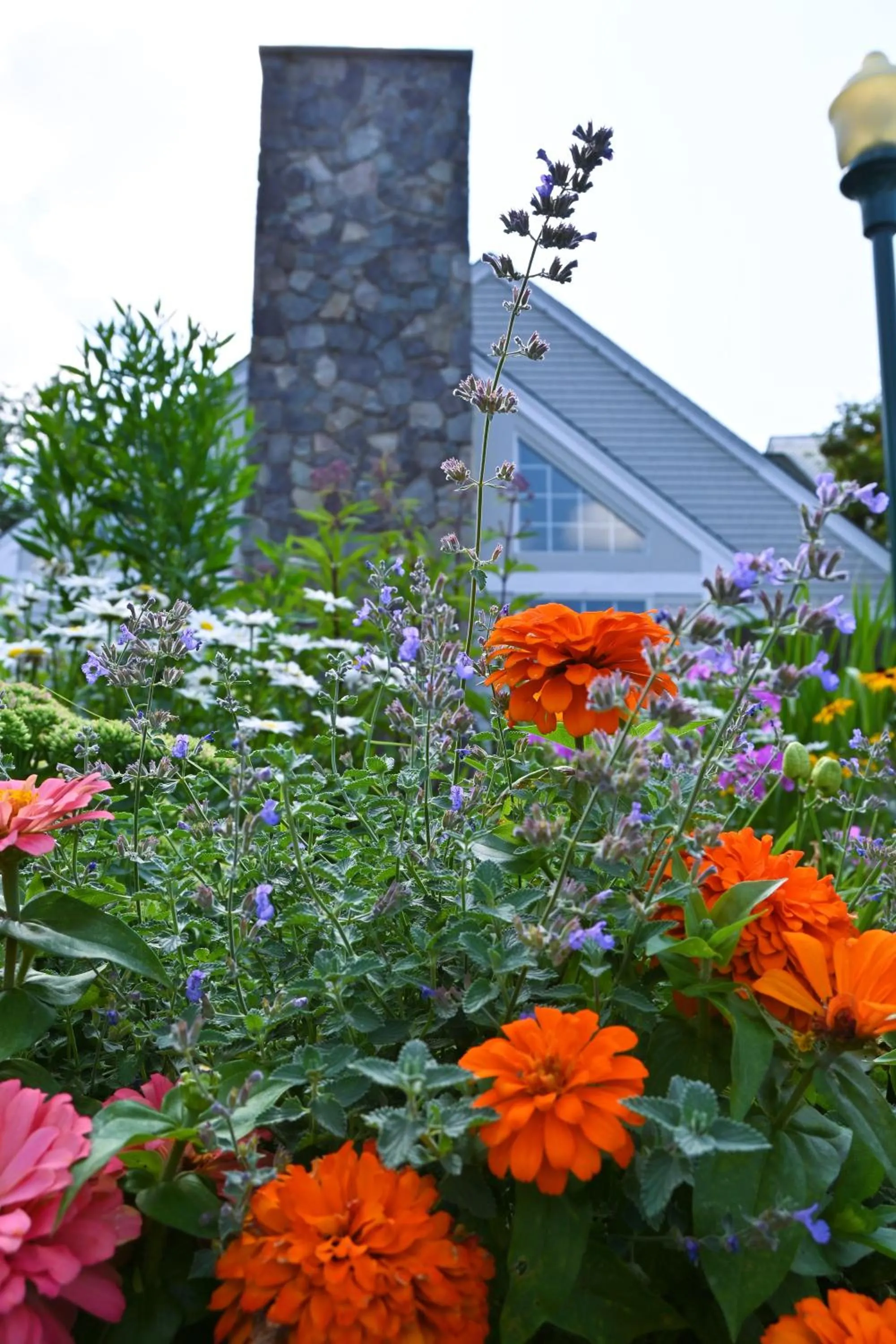 Summer in The Lodge at Jackson Village
