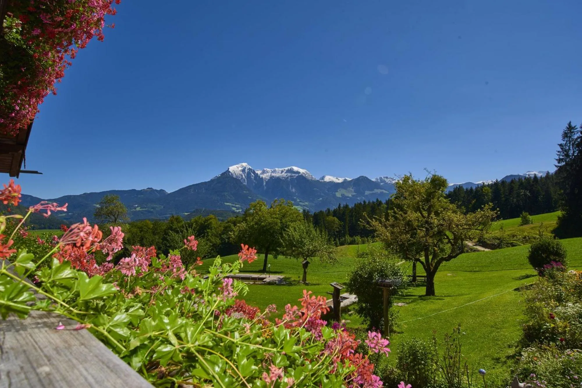 Alpenhotel Hundsreitlehen