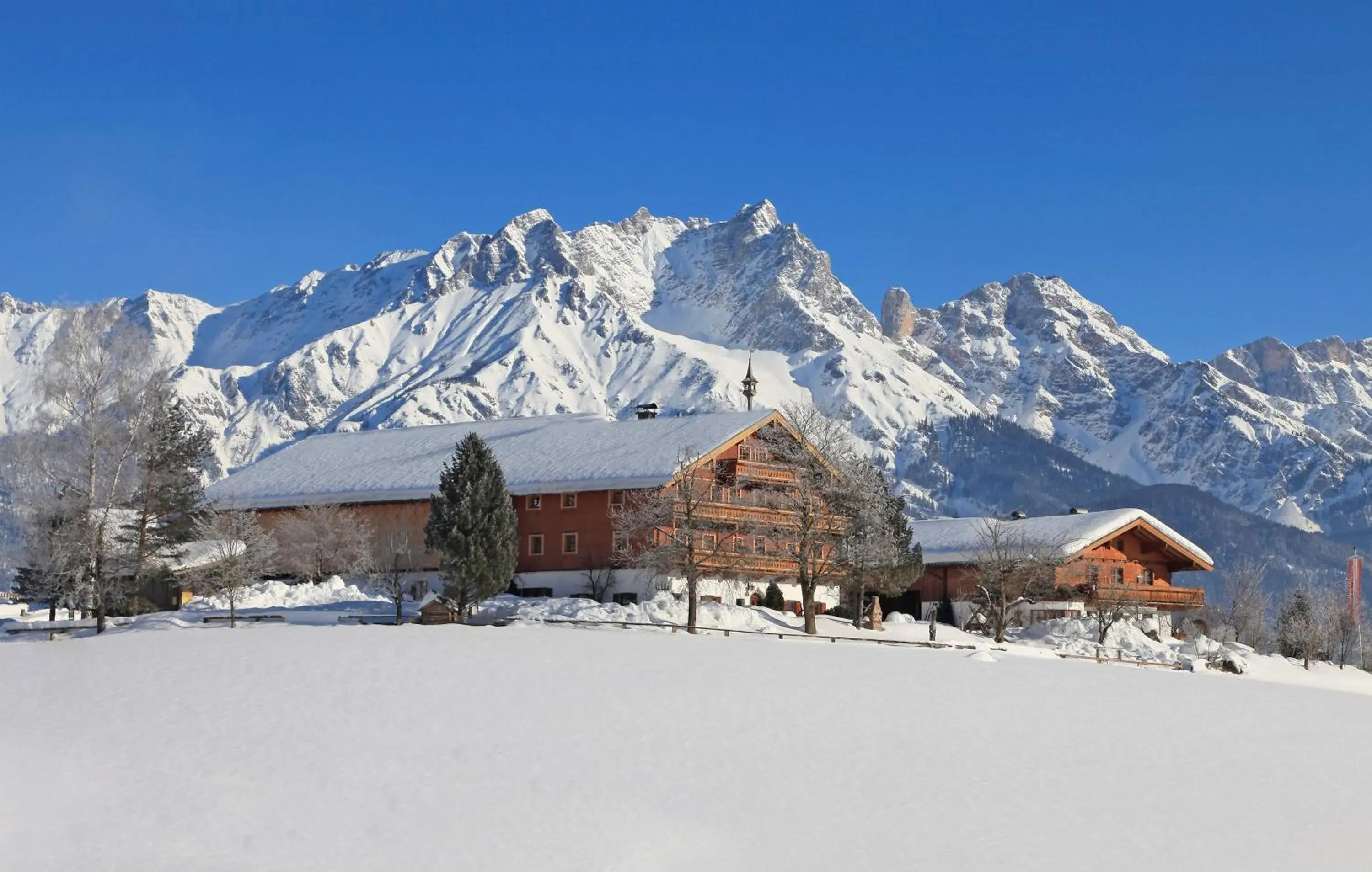 Vorderkasbichlhof Vorderkasbichlhof