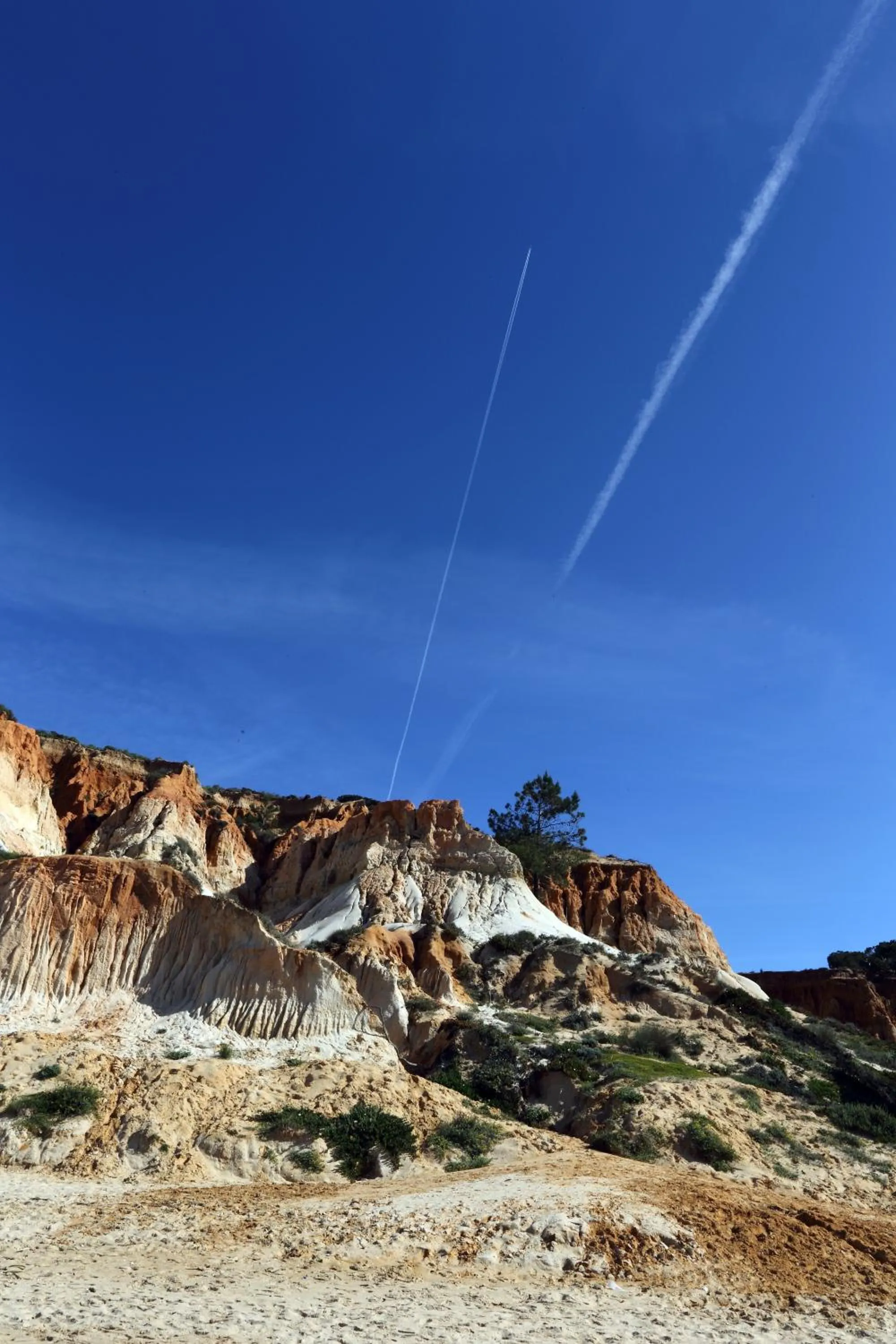 Beach in Mira Parque