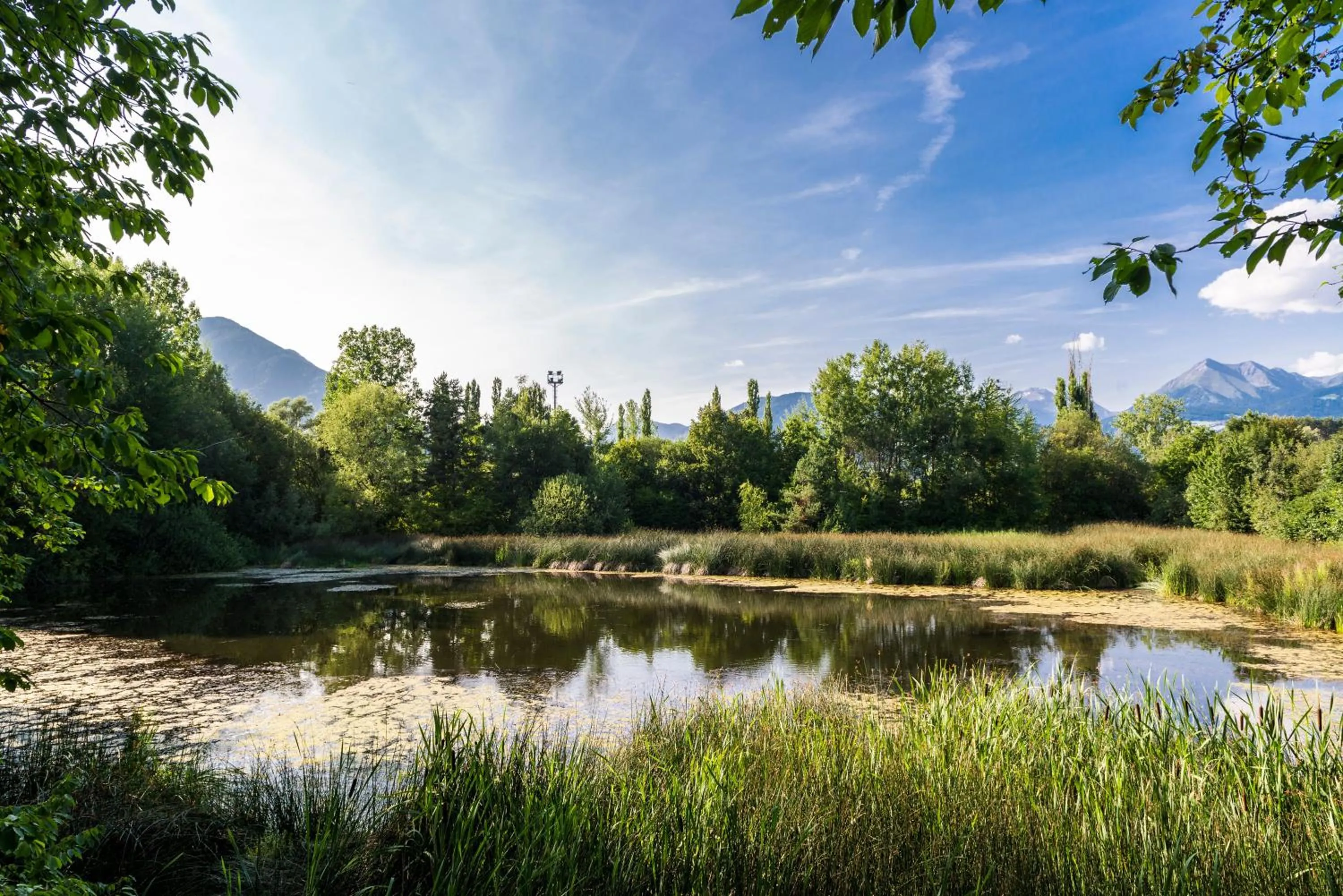Natural landscape in Hotel Birkenbrunn