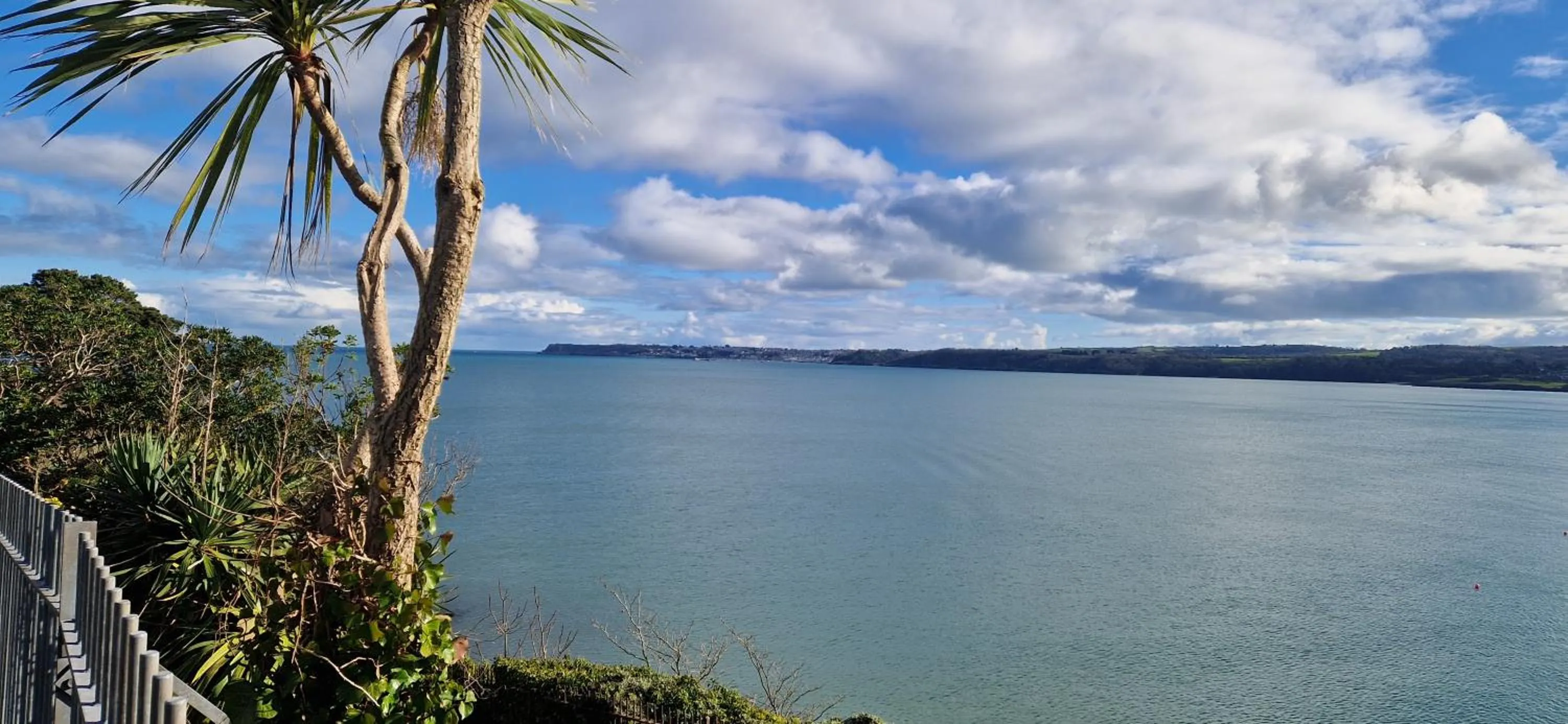 Spring in Ambassador Guest House