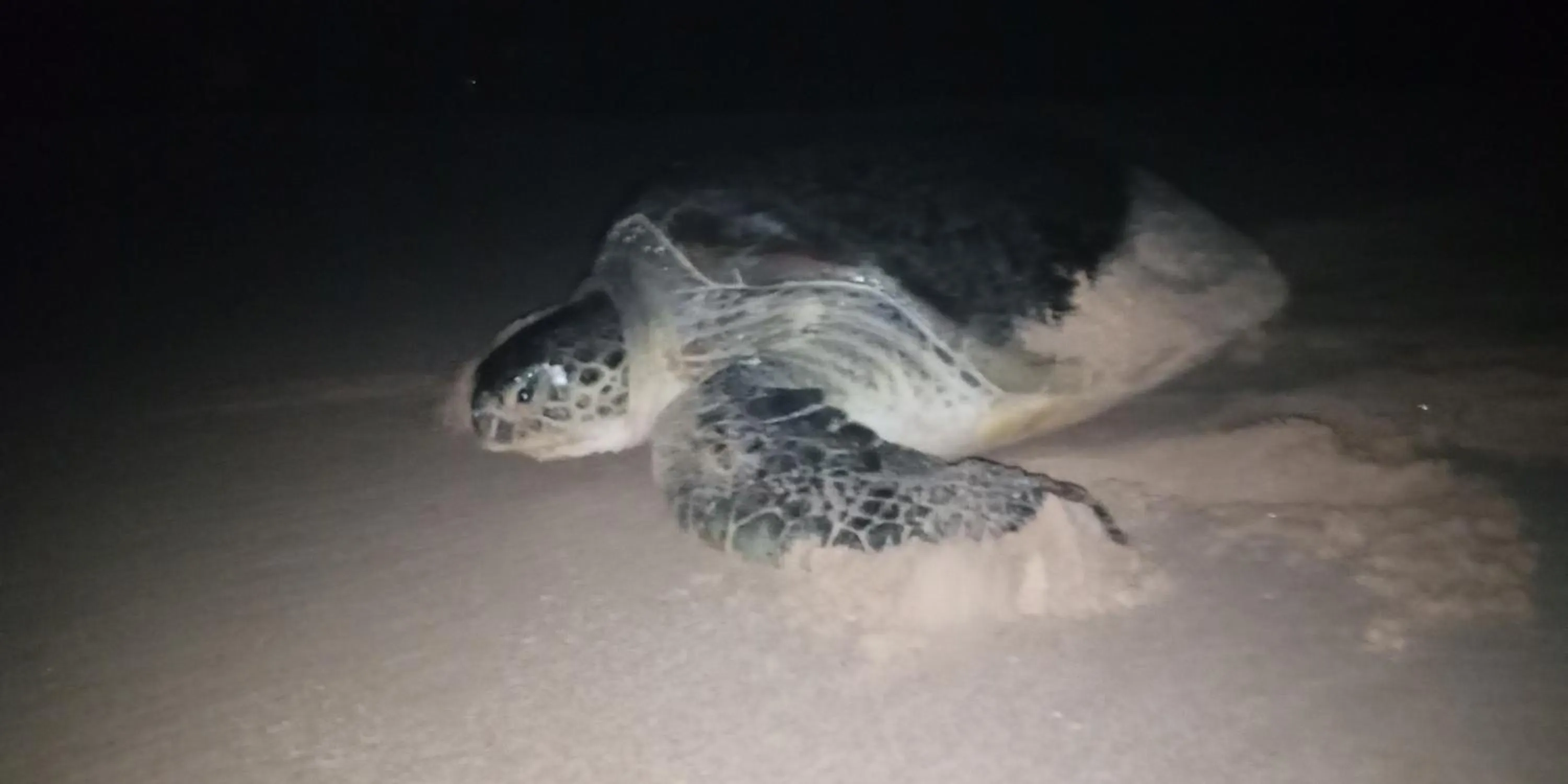 Beach in Shadow Surf Bay