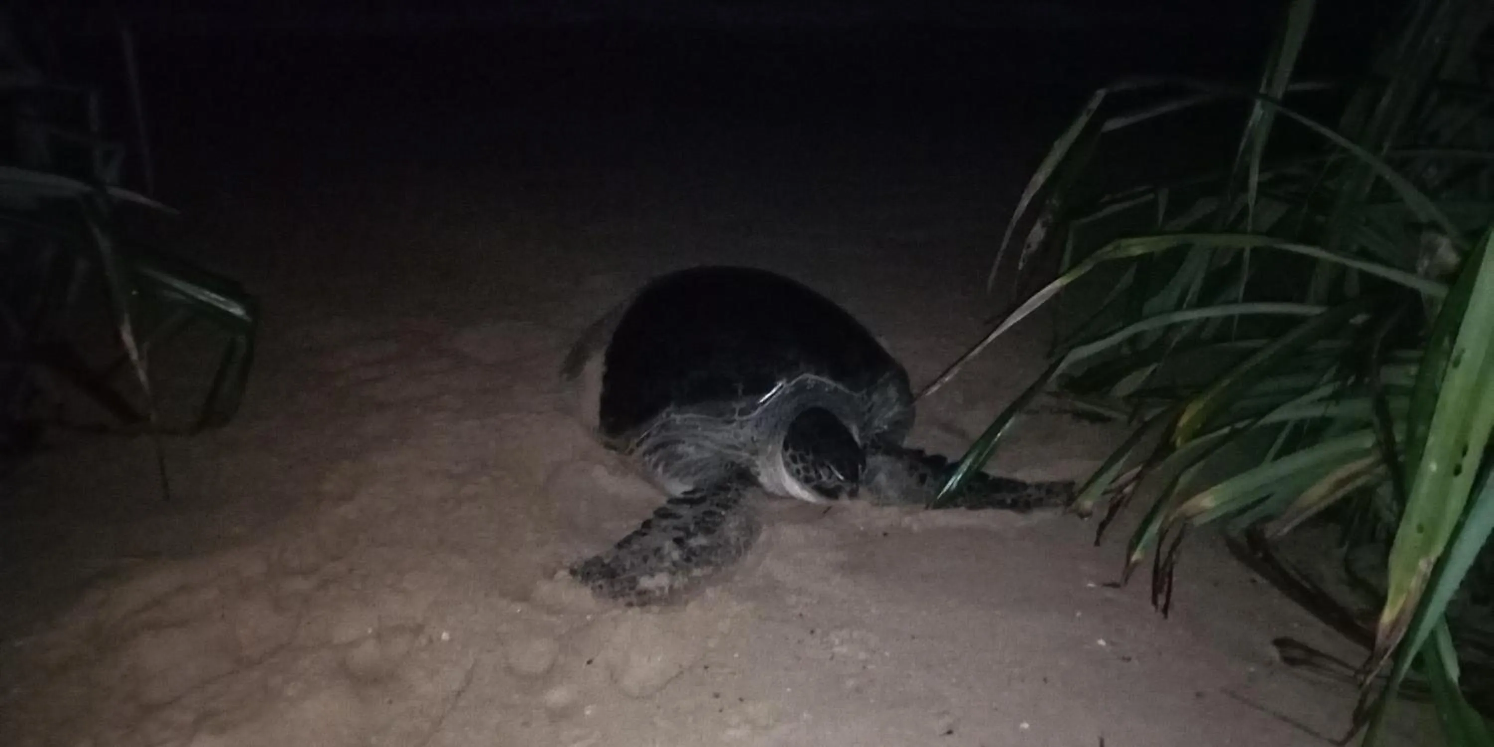 Beach in Shadow Surf Bay