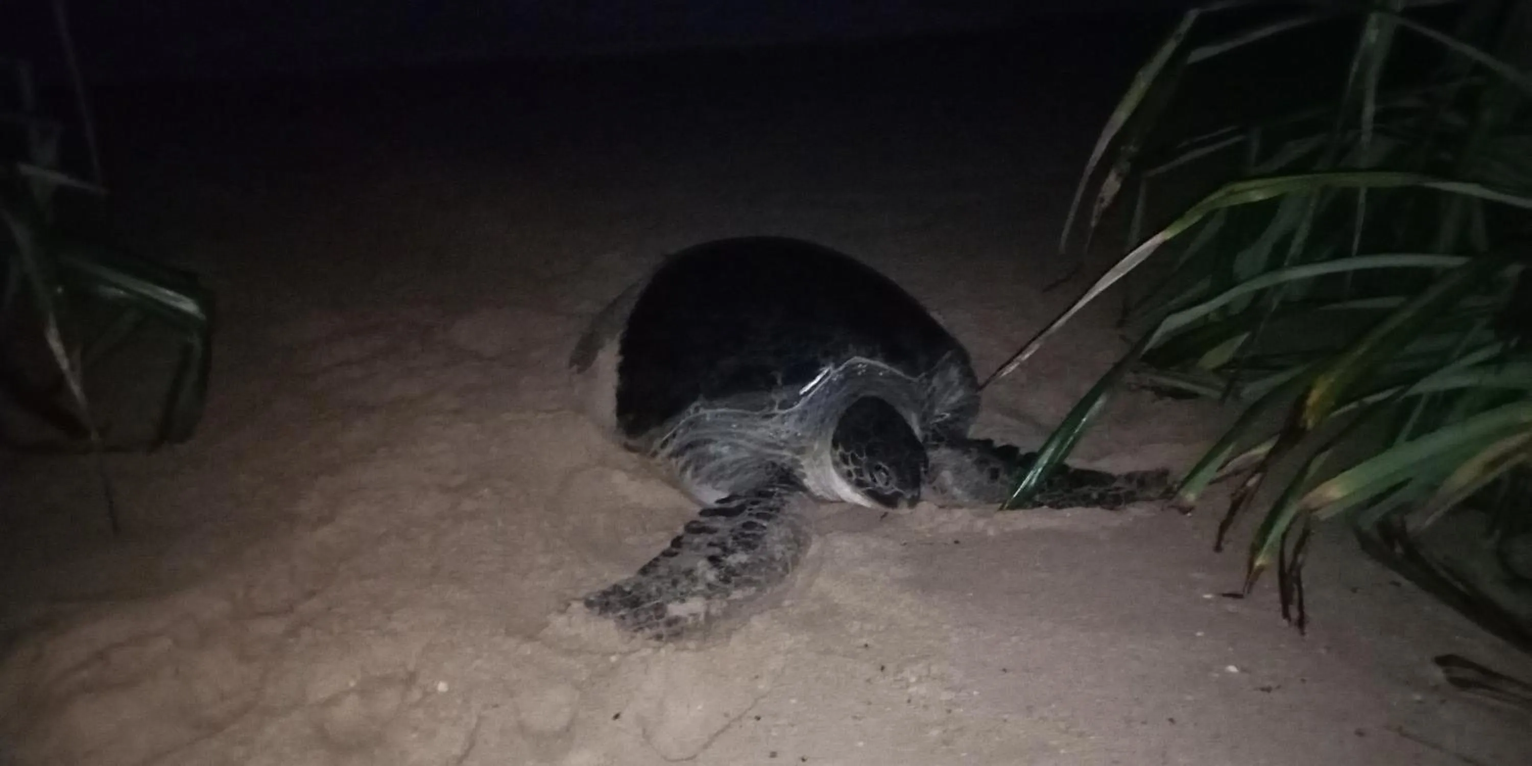 Beach in Shadow Surf Bay