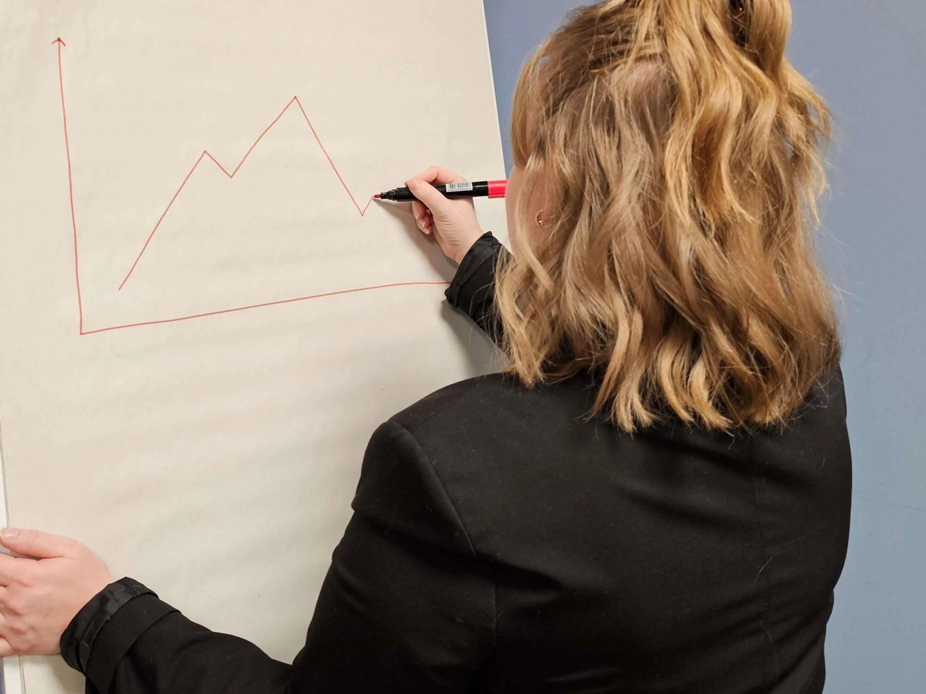 Meeting/conference room in ibis Vesoul