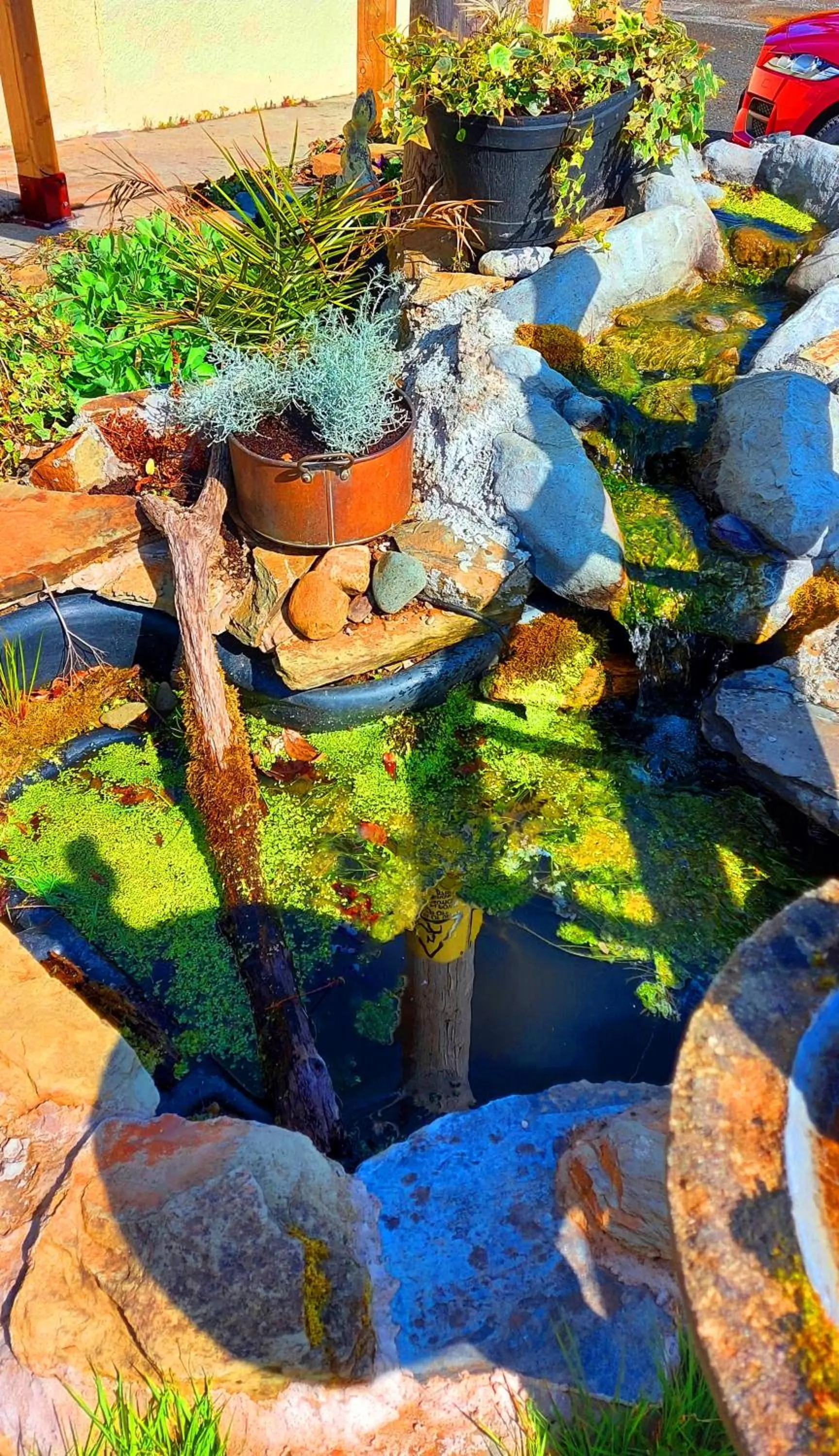 Garden in Sportsmans Valley Hotel