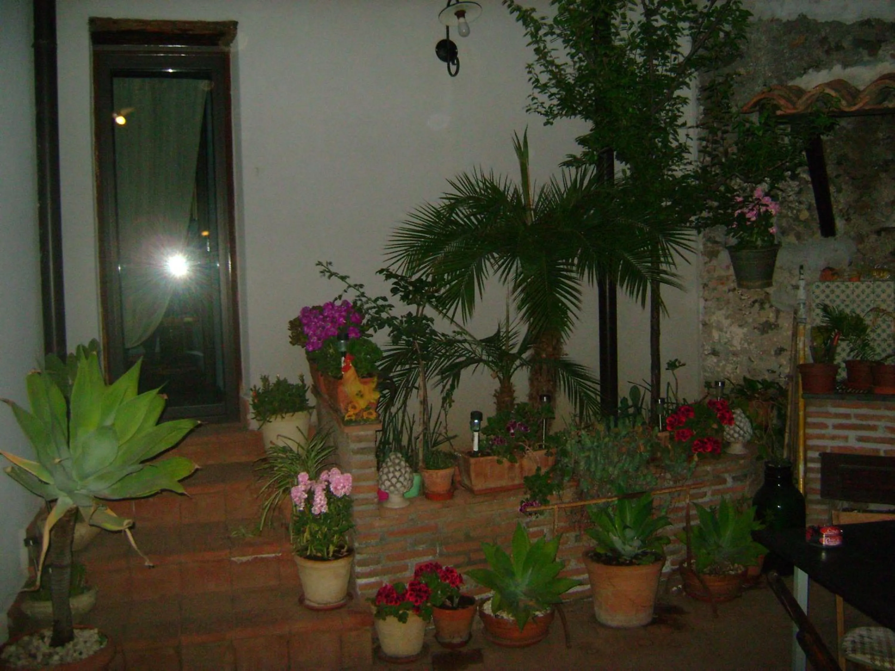 Property building in Mauripe