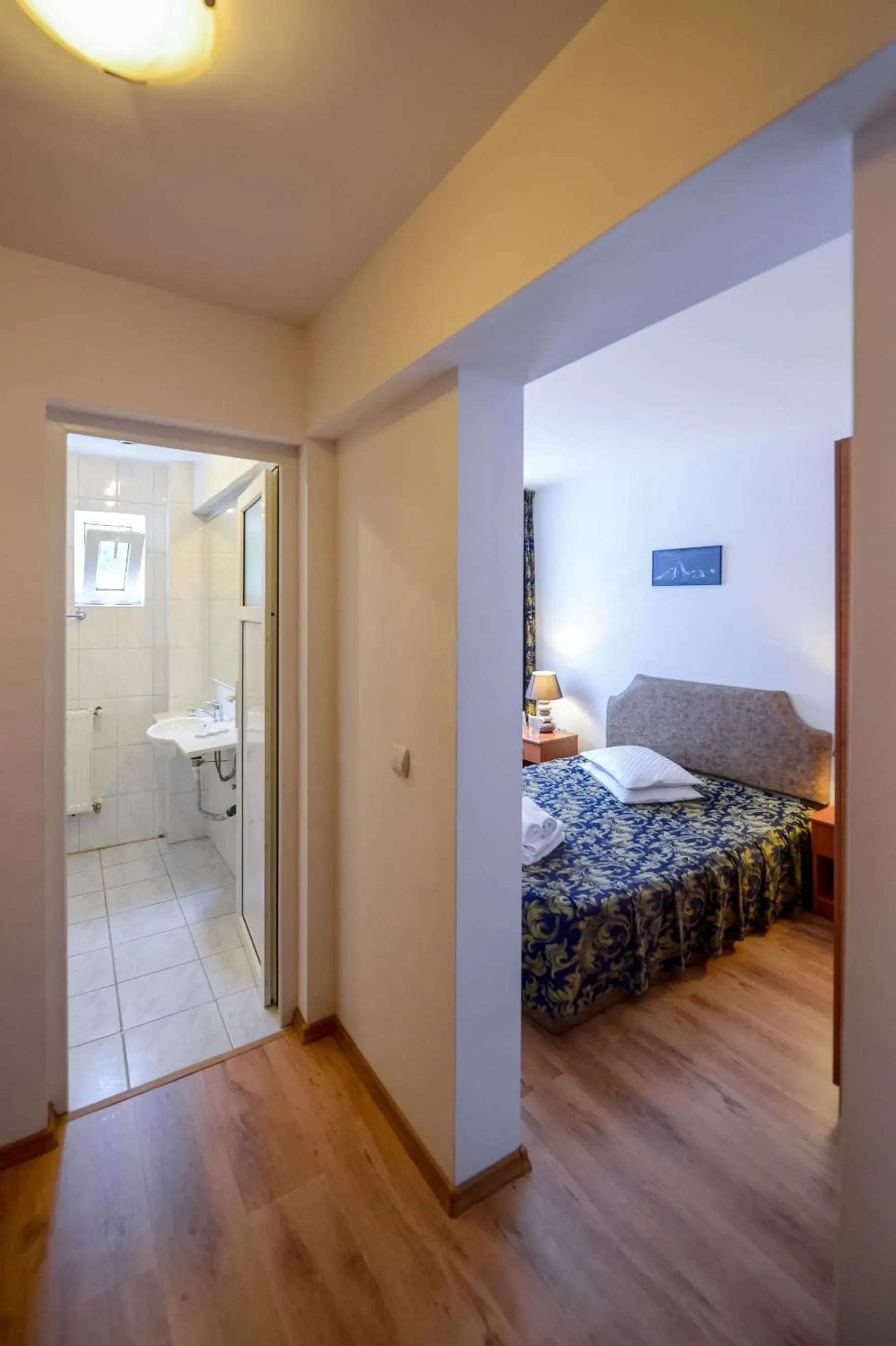 Double Room in Cabana Trei Brazi Double Room in Cabana Trei Brazi