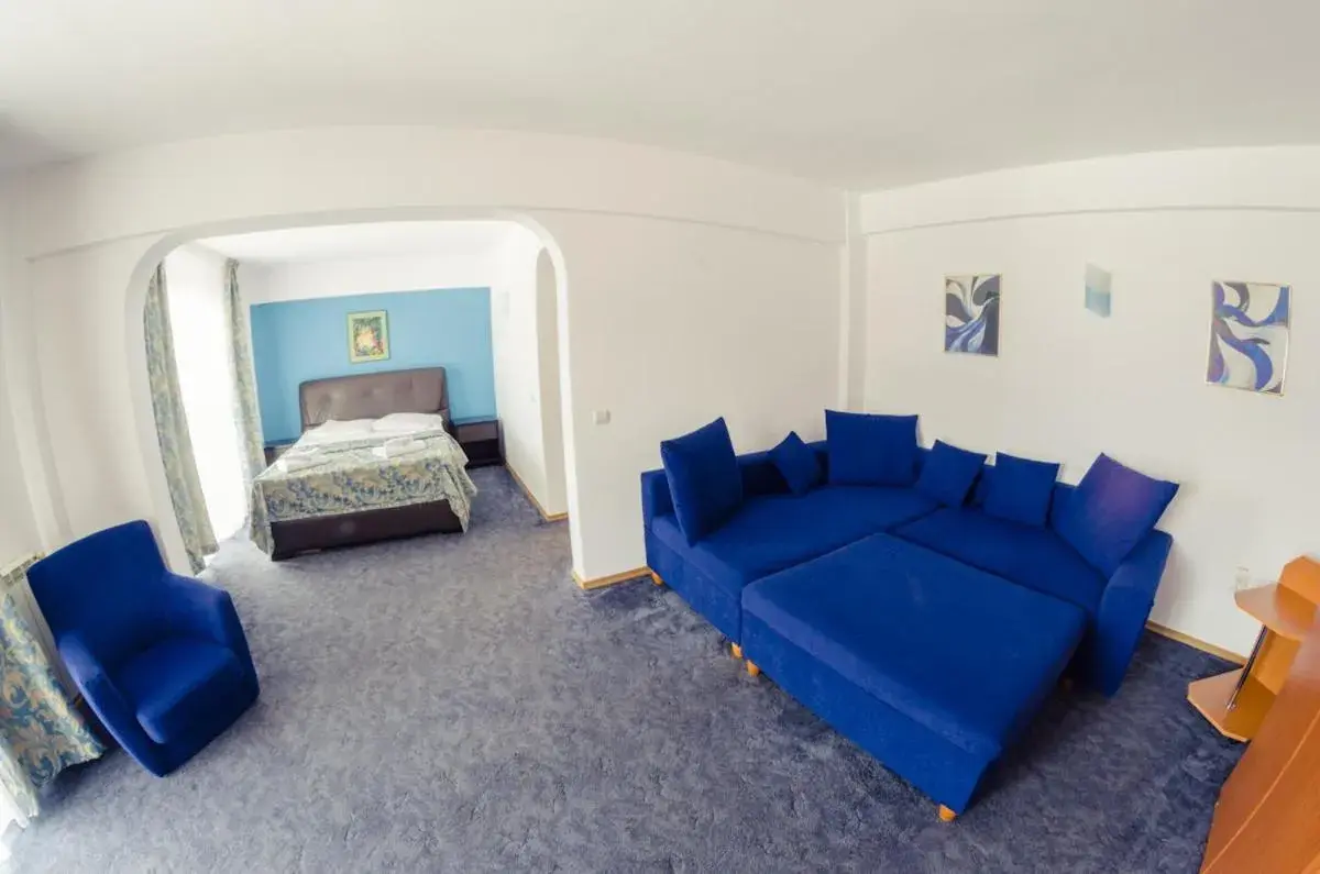 Superior Suite in Cabana Trei Brazi Superior Suite in Cabana Trei Brazi