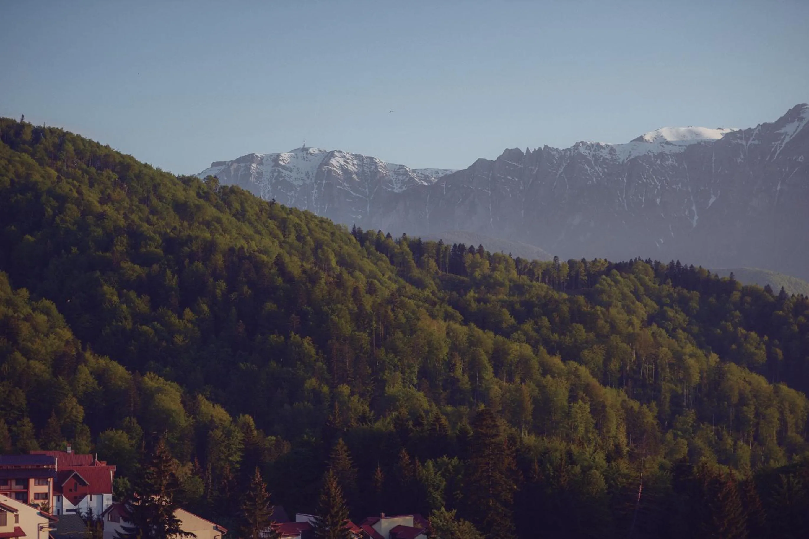 Area and facilities in Cabana Trei Brazi