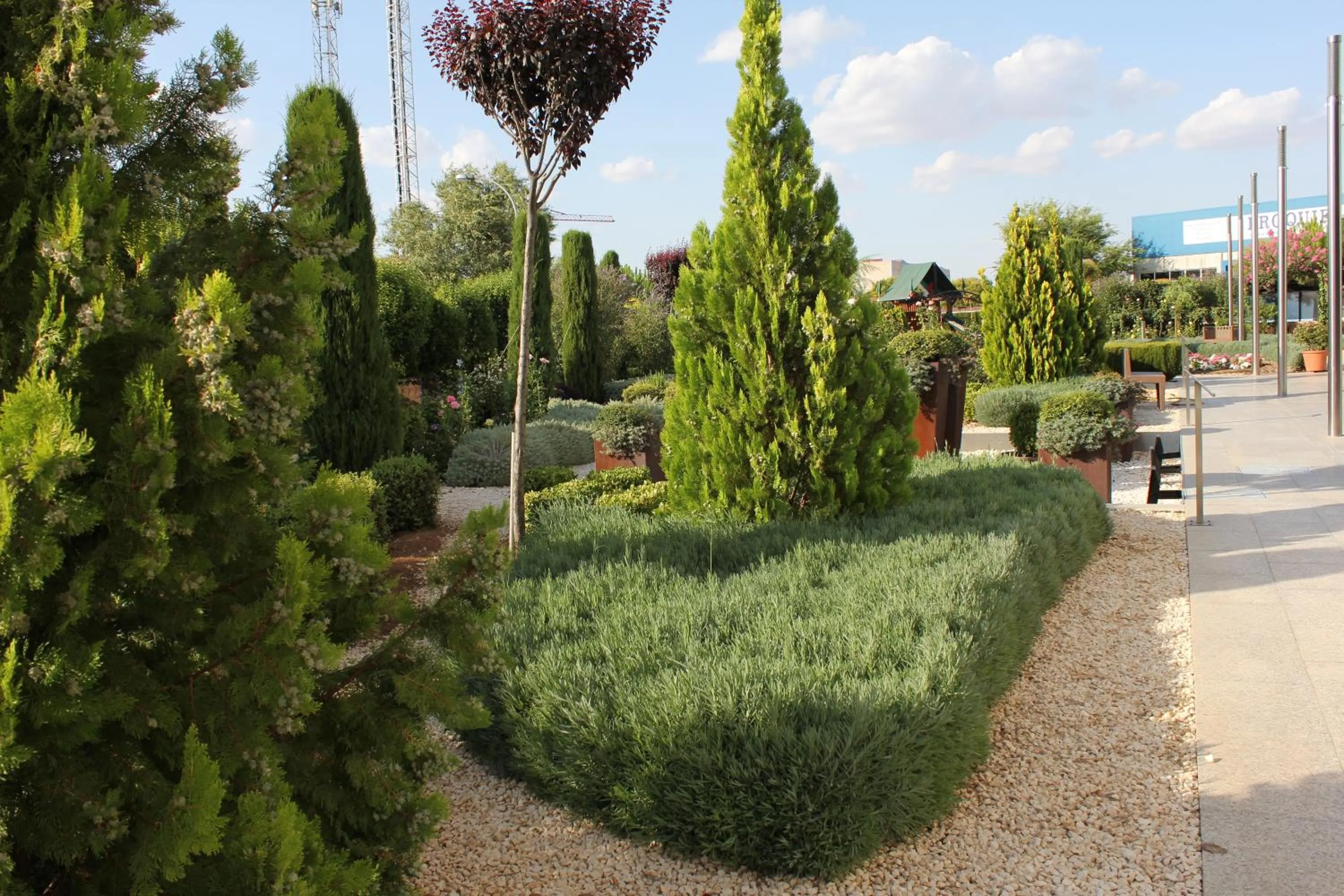 Garden in Escuderos Hotel Cruz