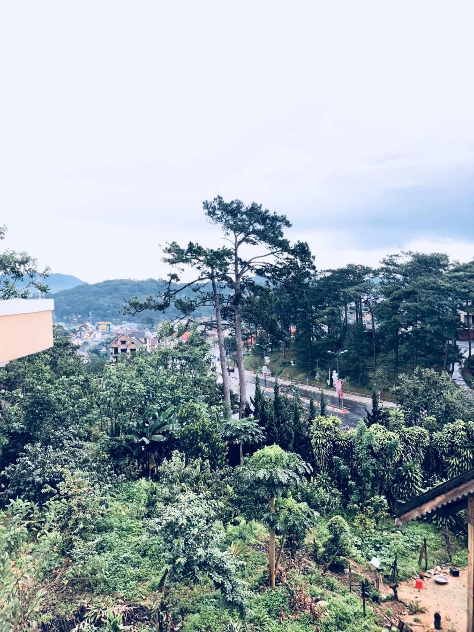 Natural landscape in Dragon Dalat Villa