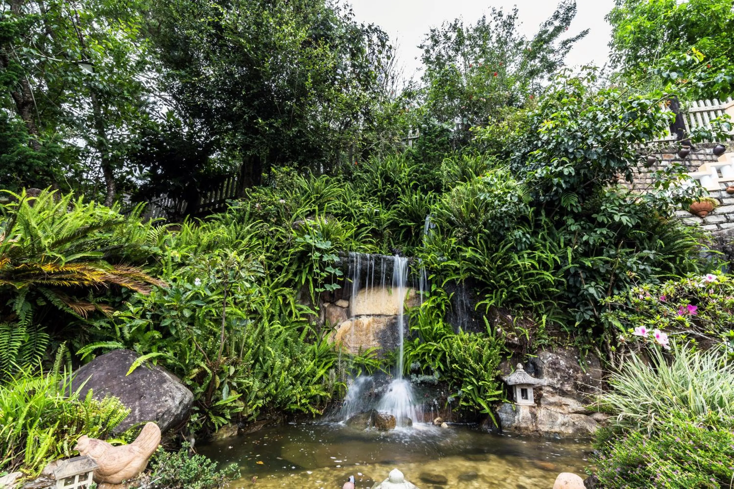 Garden in Dragon Dalat Villa
