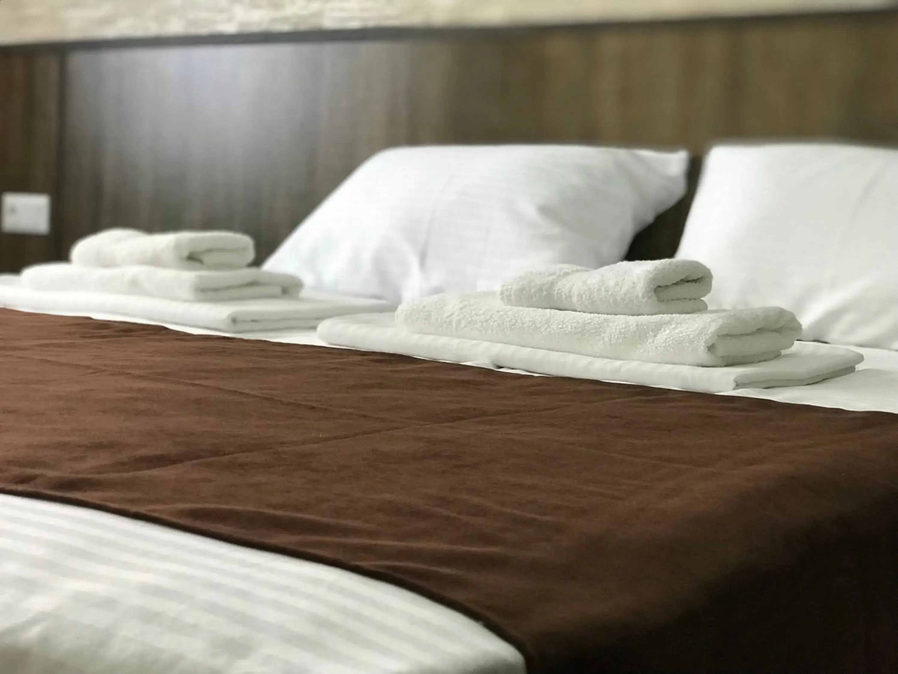 bunk bed, Bed in Hobby Hotel bunk bed, Bed in Hobby Hotel