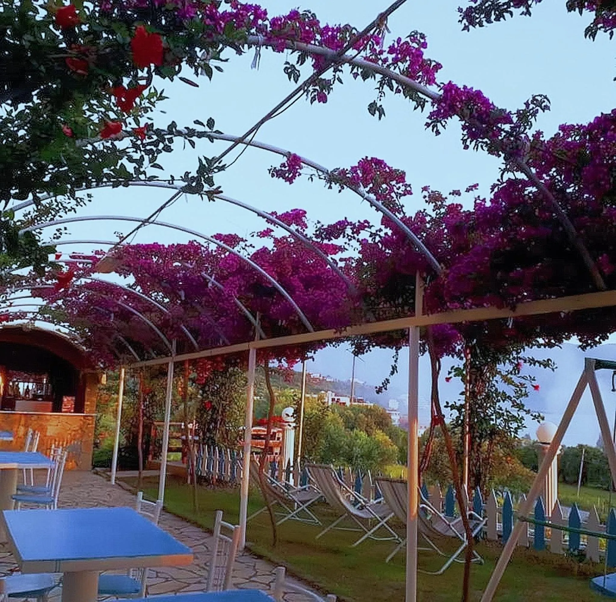 Garden in Hotel Sirena