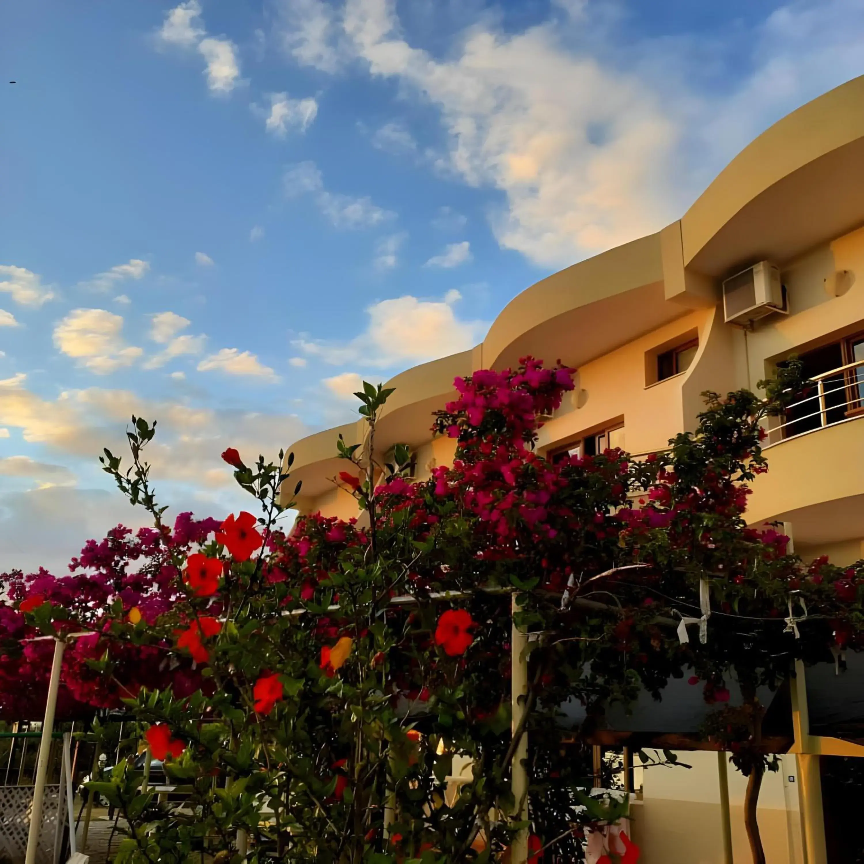 Hotel Sirena Hotel Sirena