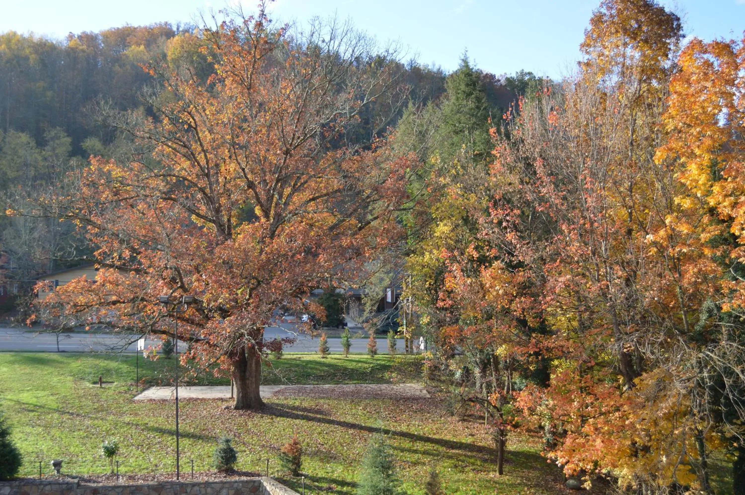 Autumn in Brookside Lodge