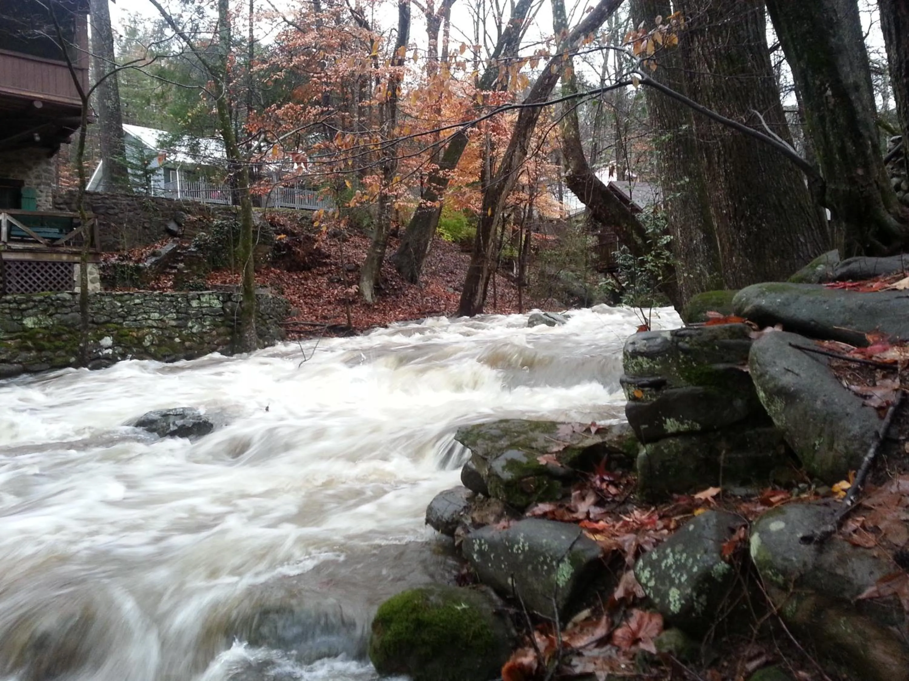 Autumn in Brookside Lodge
