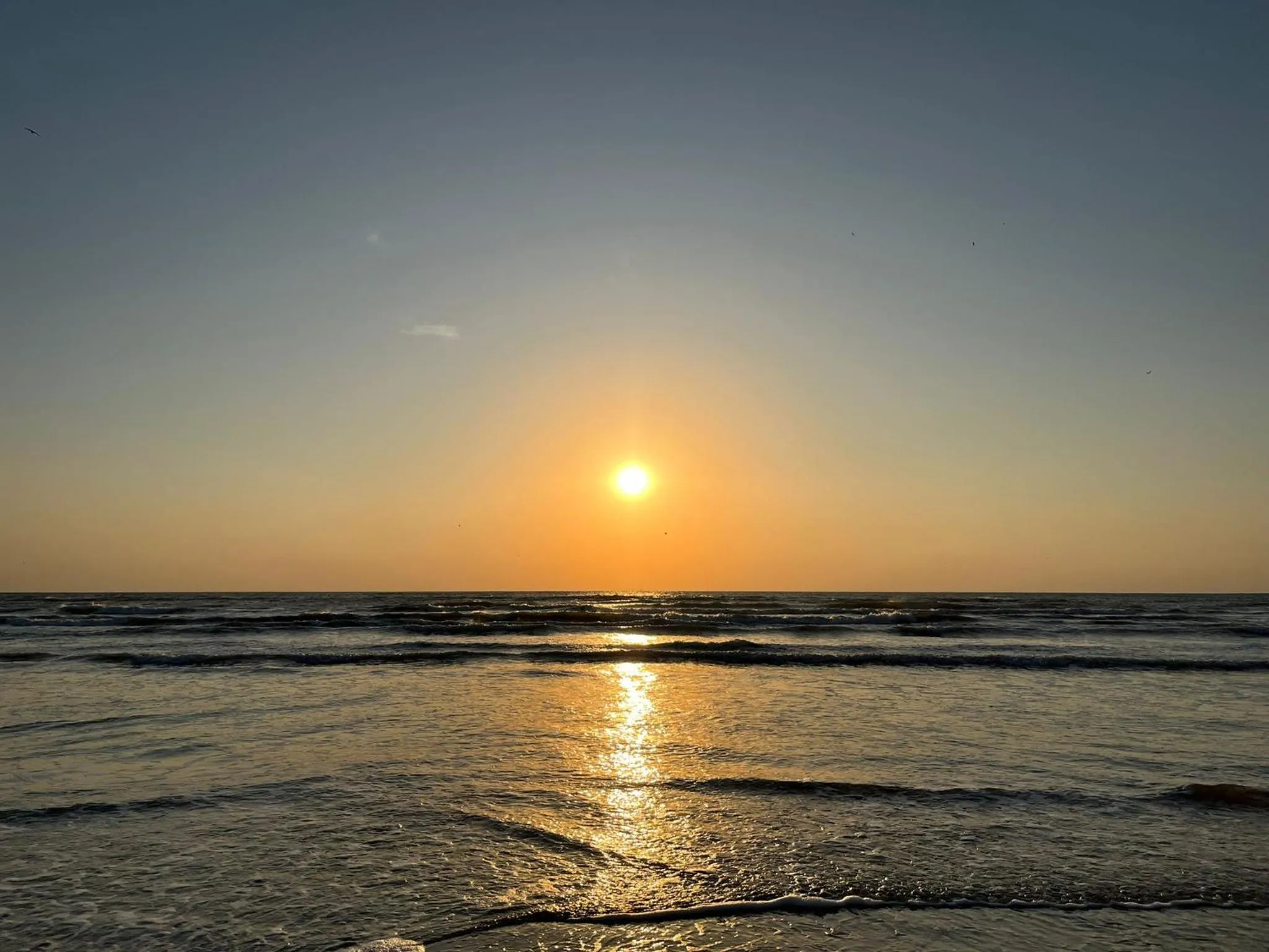 Apartments Excelsior Mamaia Nord