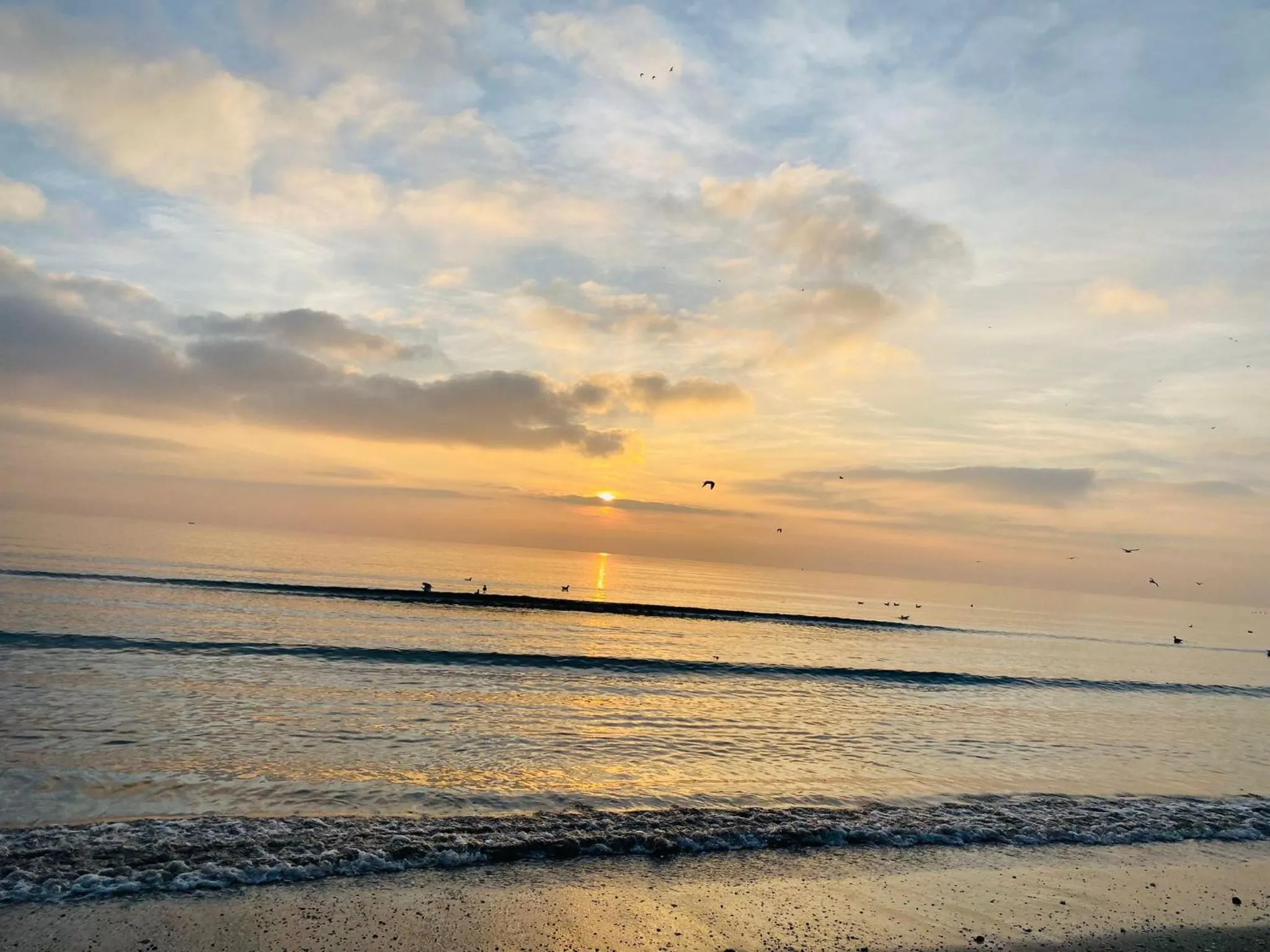 Apartments Excelsior Mamaia Nord
