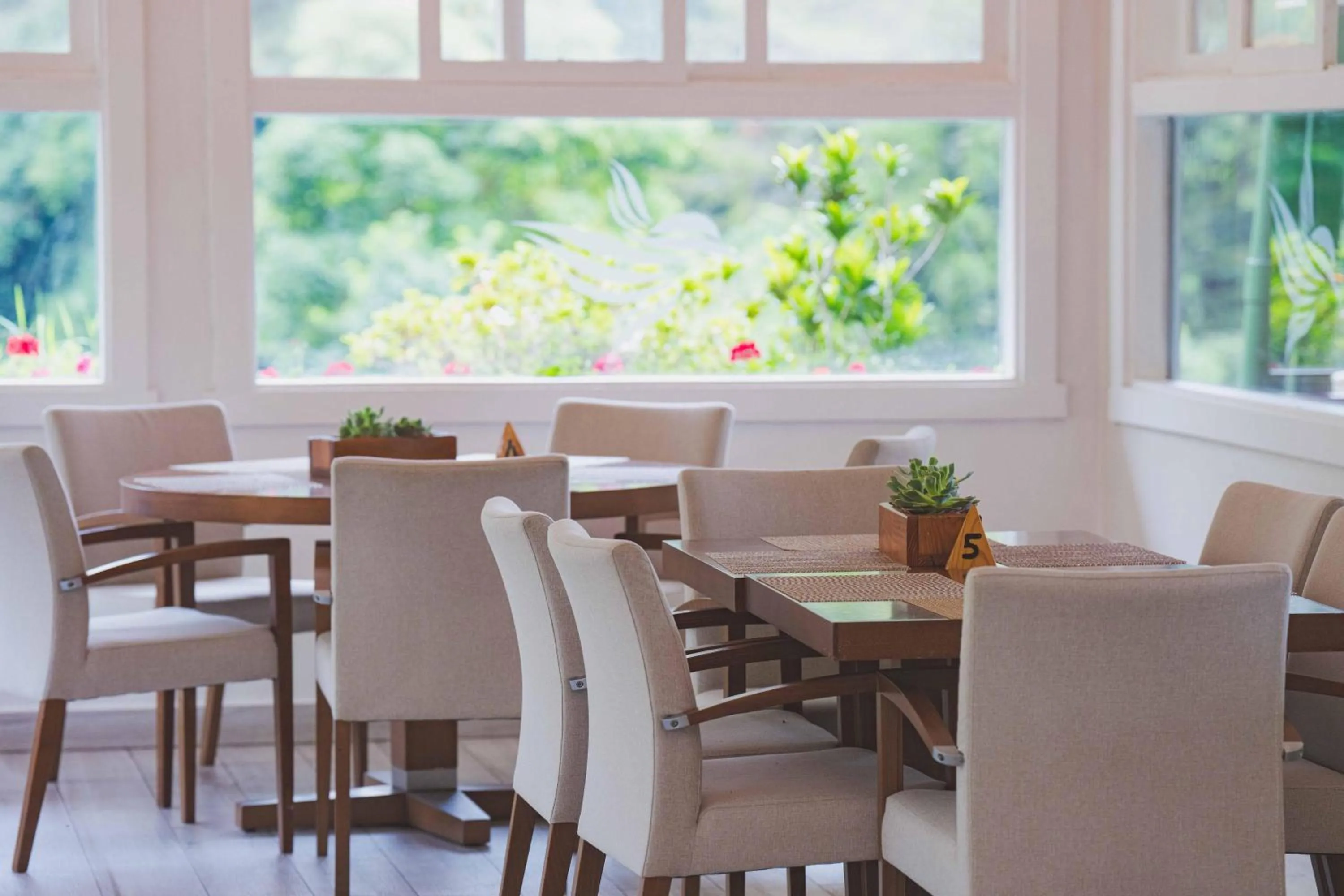 Restaurant/places to eat in Hotel Finca Lerida Coffee Plantation and Boutique Hotel